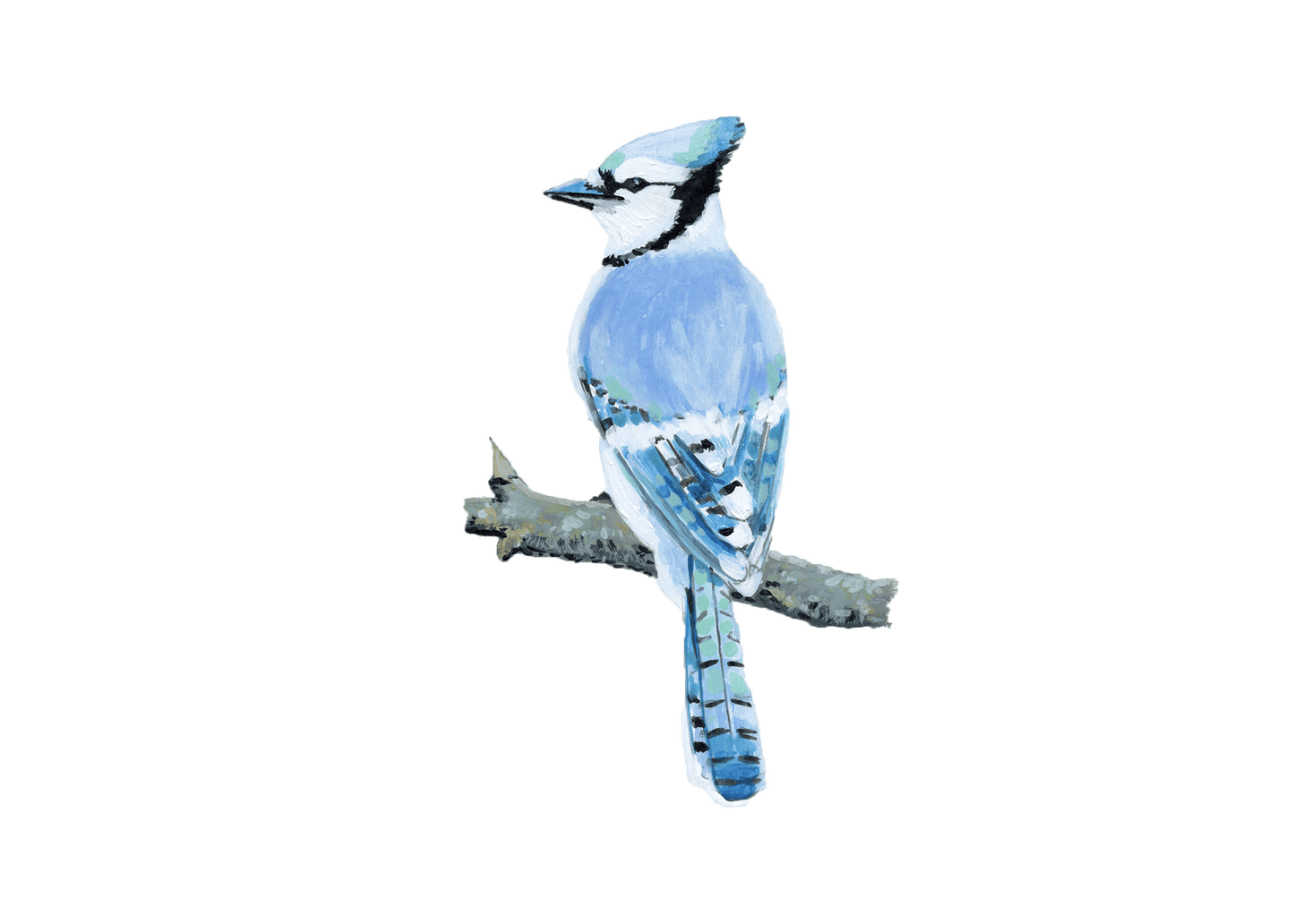 WILD BIRDS CARD - SET OF 8