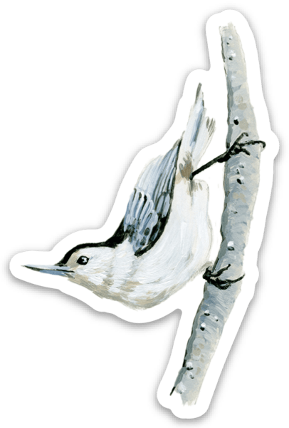 Year-round Maine Bird 3” Sticker