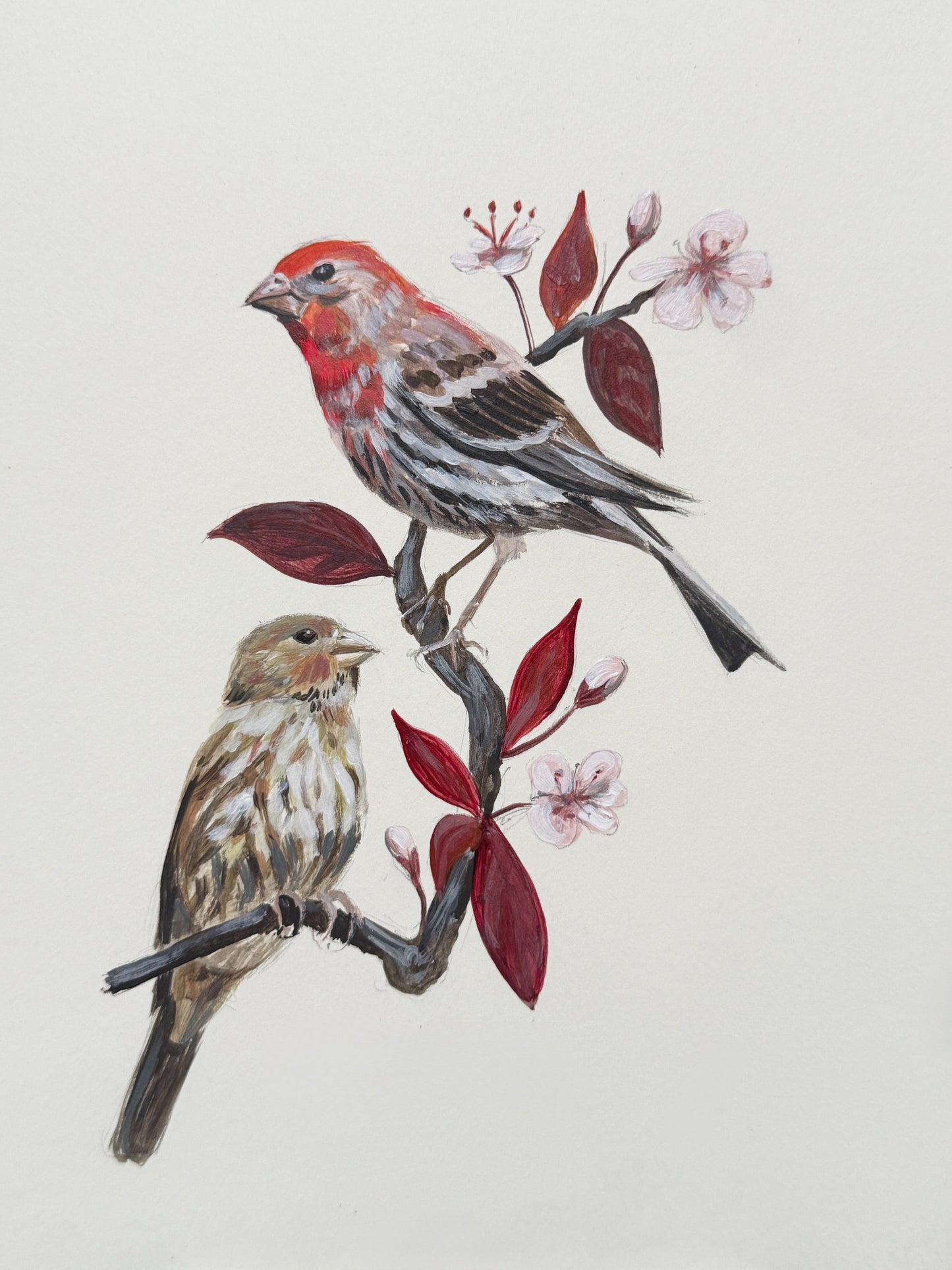 Love Bird Series - Breeding Pairs Acrylic Painting - 5x7 Framed