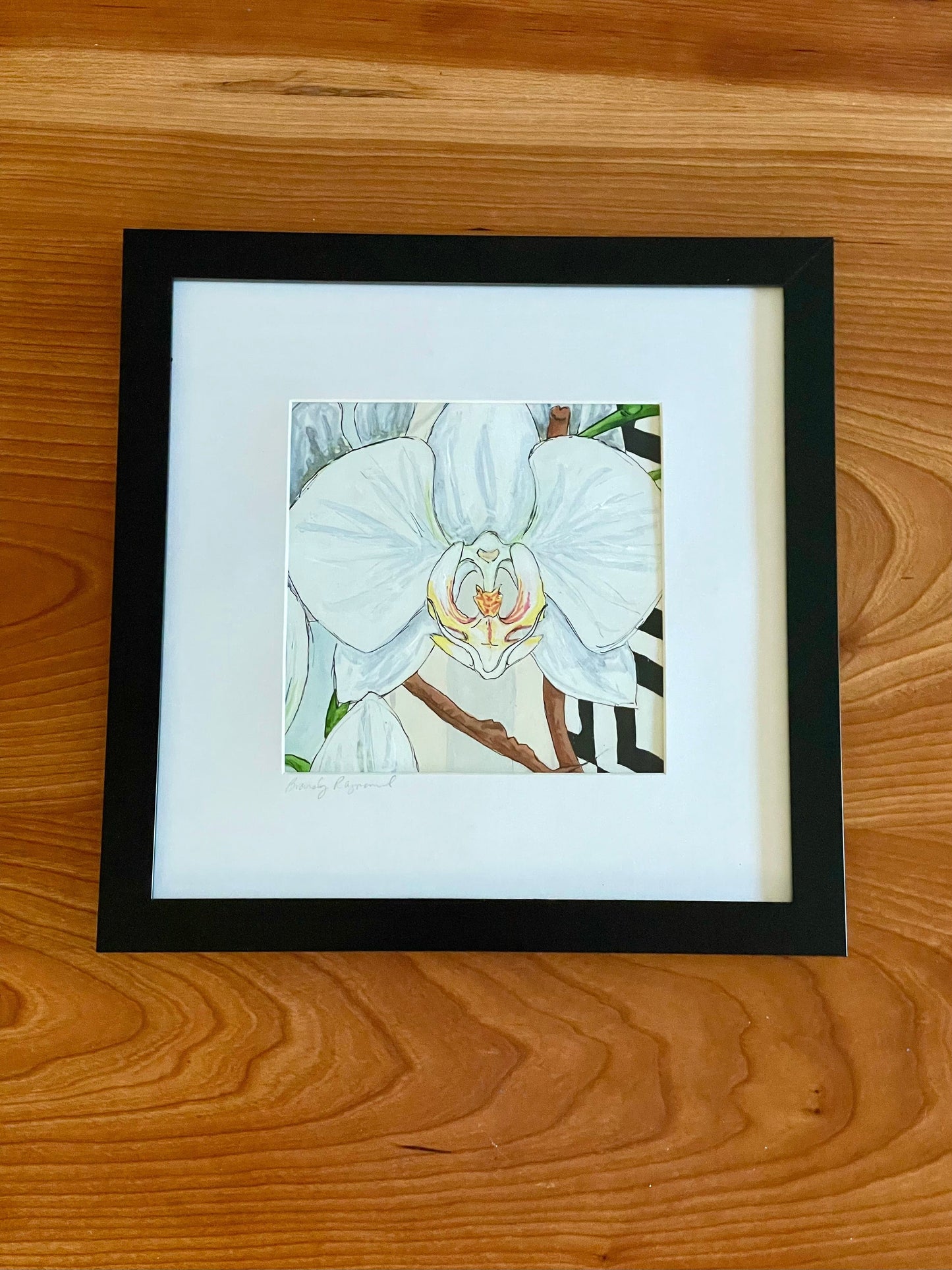 Phalaenopsis Orchid Pen & Ink by Brandy Cressey at Florence Farmstead