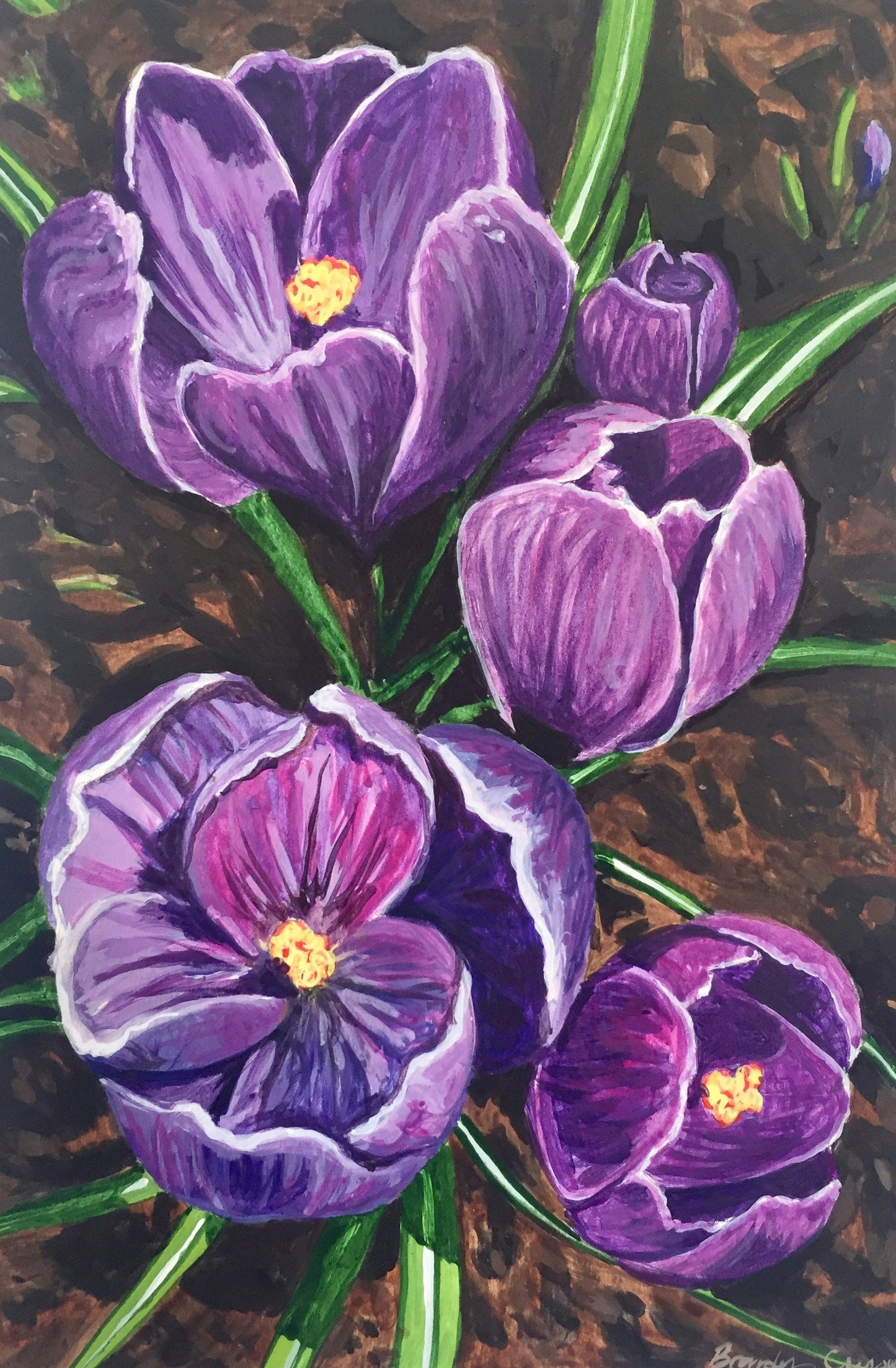 Crocus Print