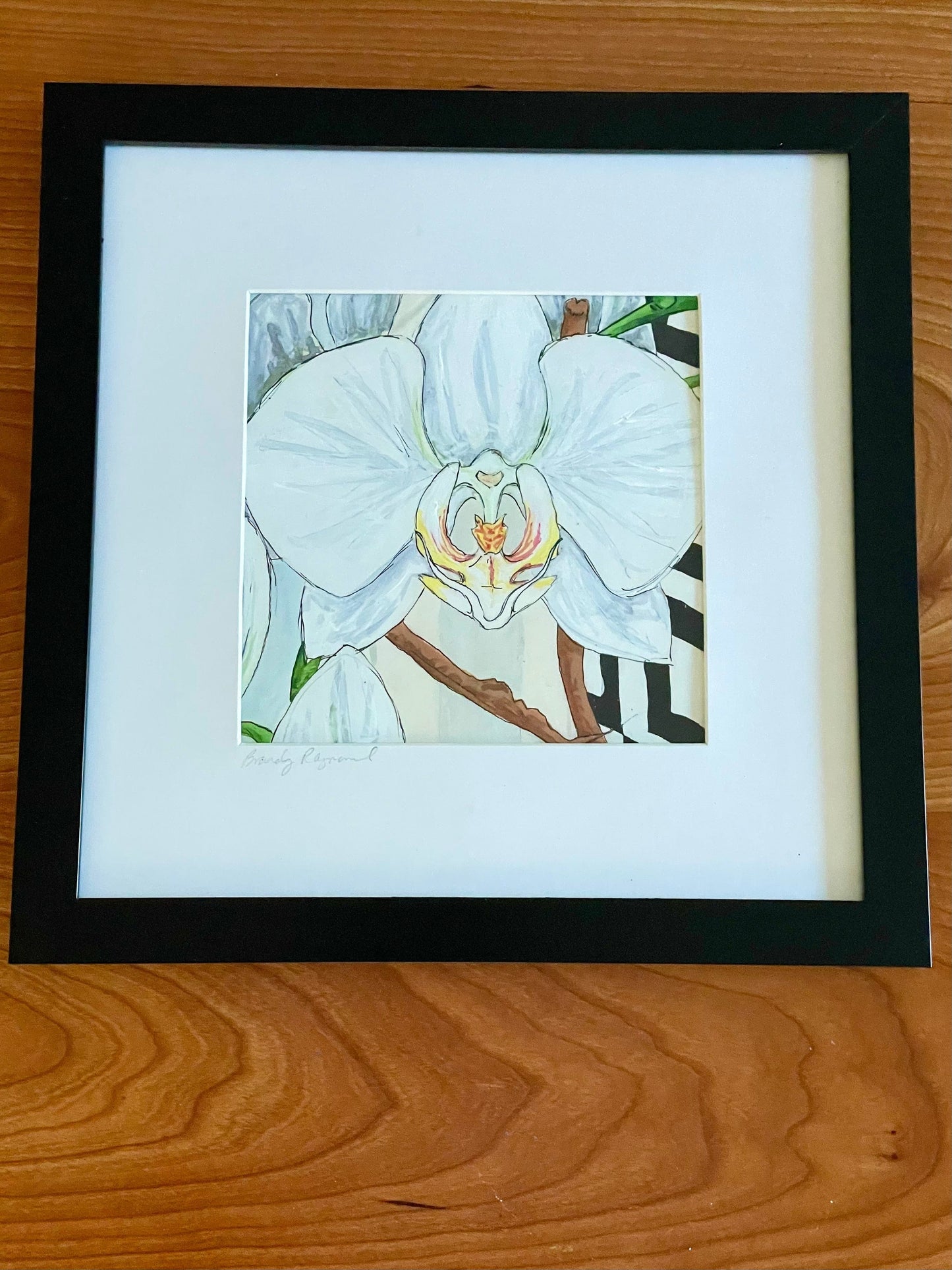 Phalaenopsis Orchid Pen & Ink - 5x5 Framed