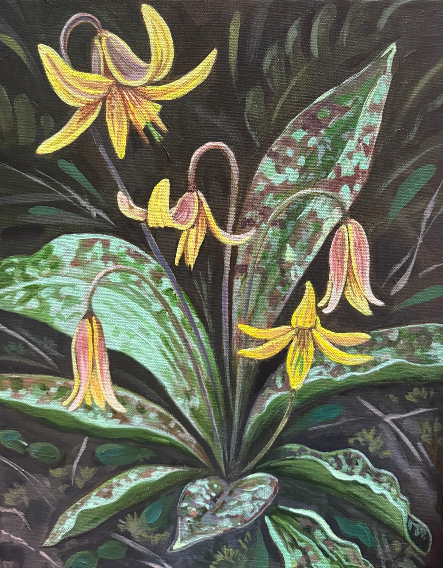 “Trout Lily Grace” - framed 11x14 inch canvas acrylic painting