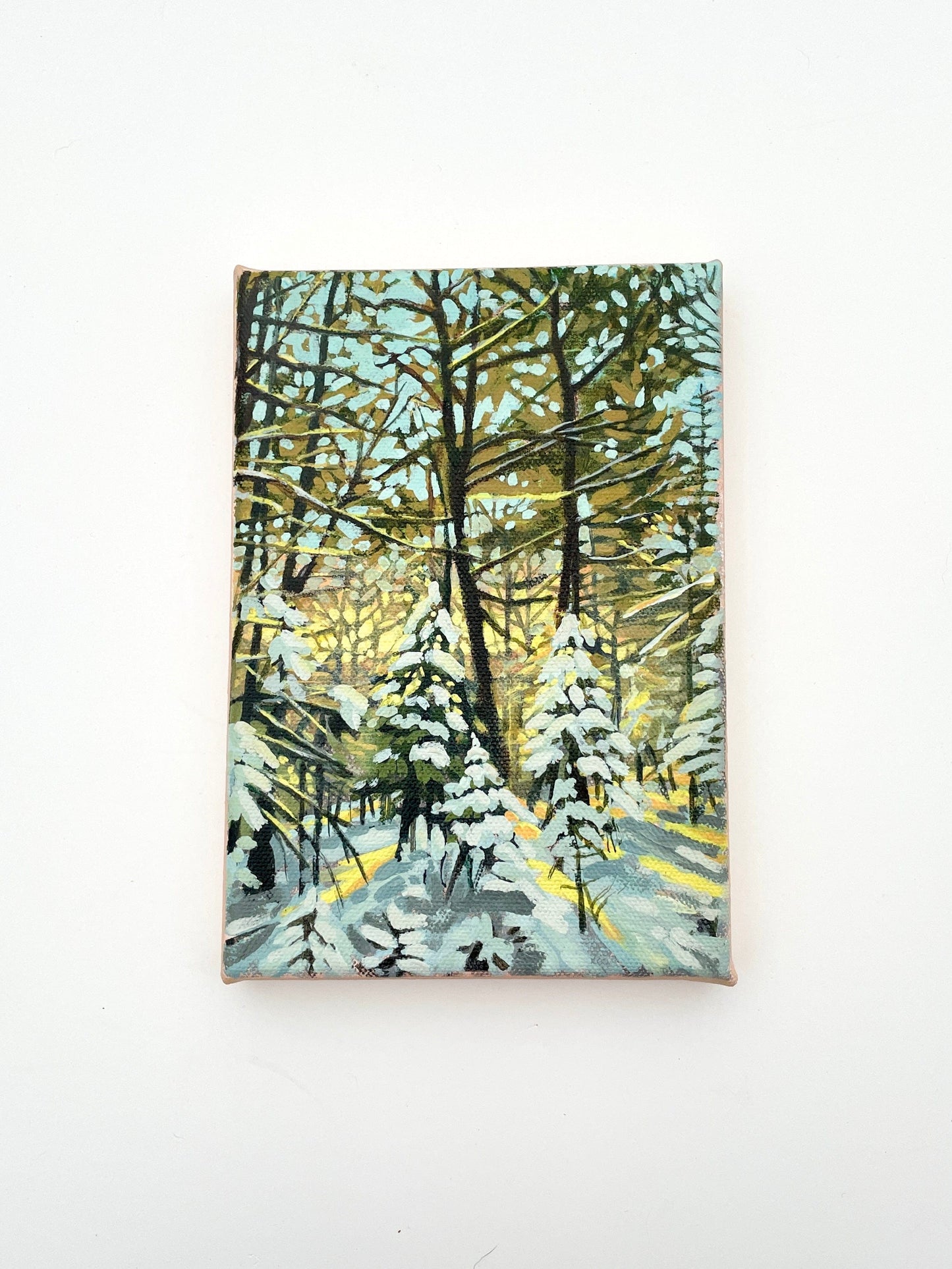 Golden Hour - 5x7