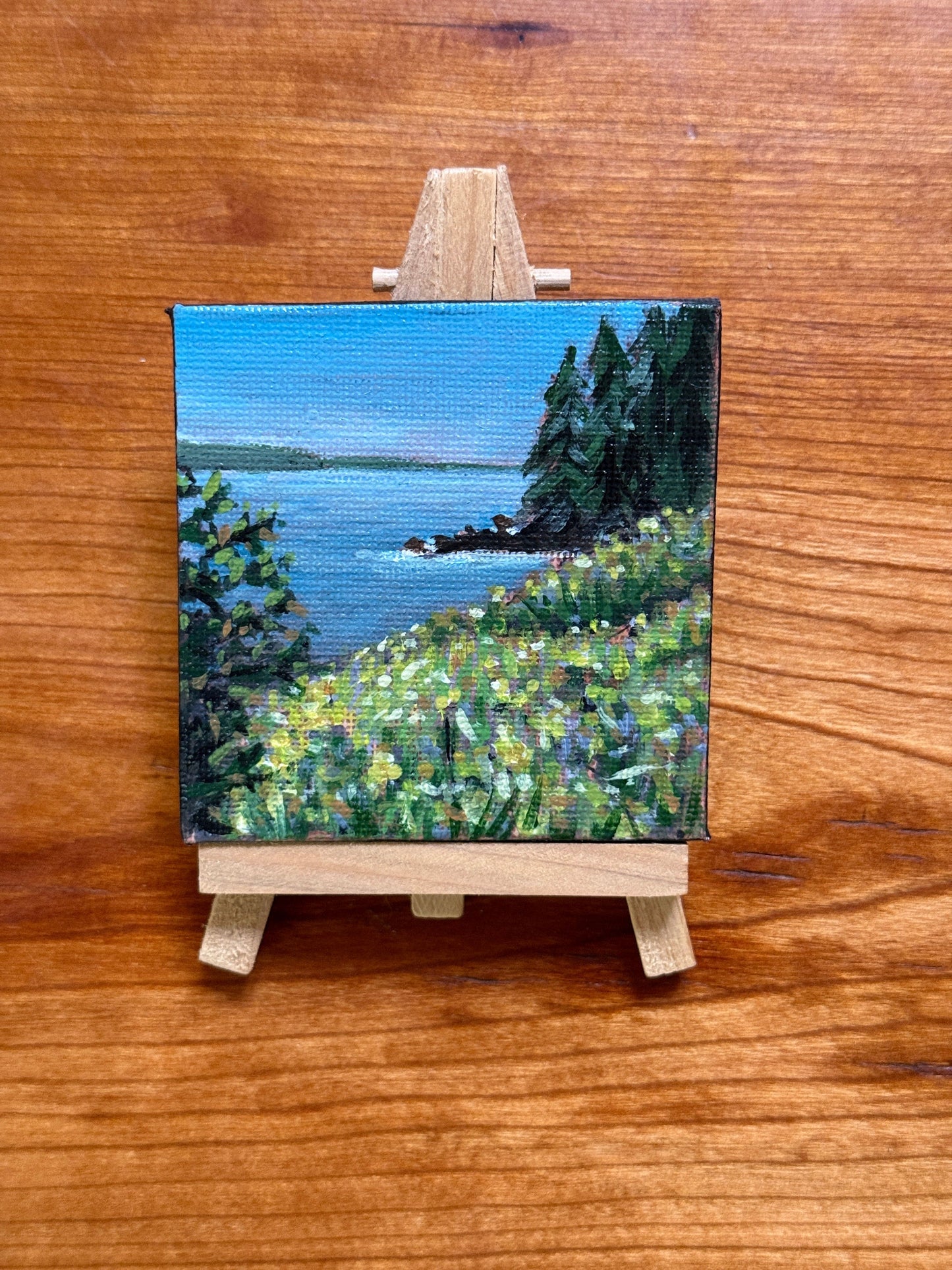 Owls head state park mini painting