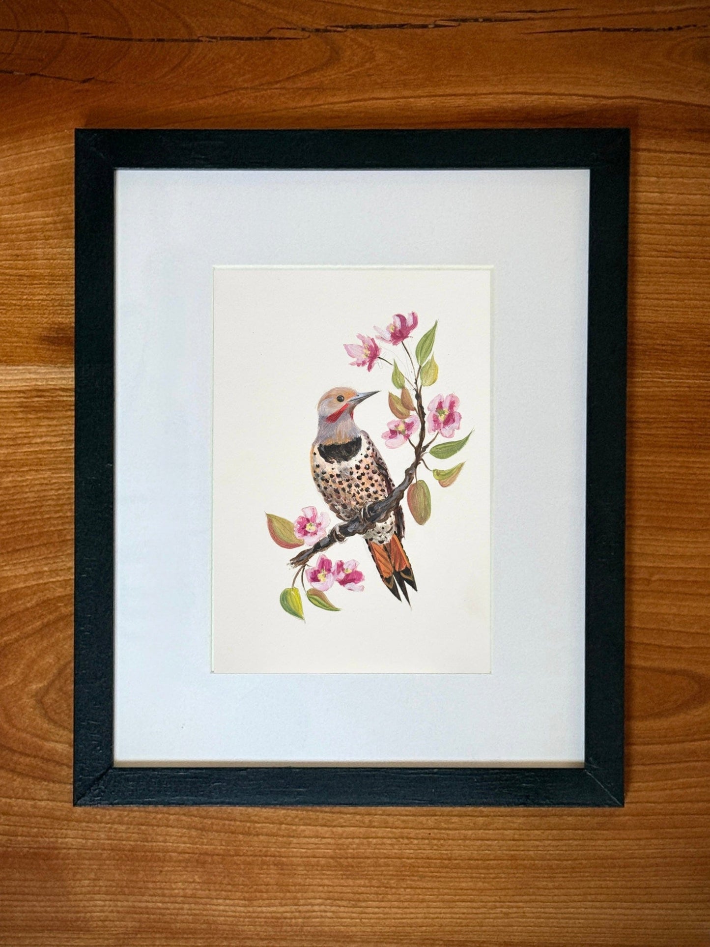 Northern Flicker & Crabapple - Acrylic Painting - 5x7 Framed