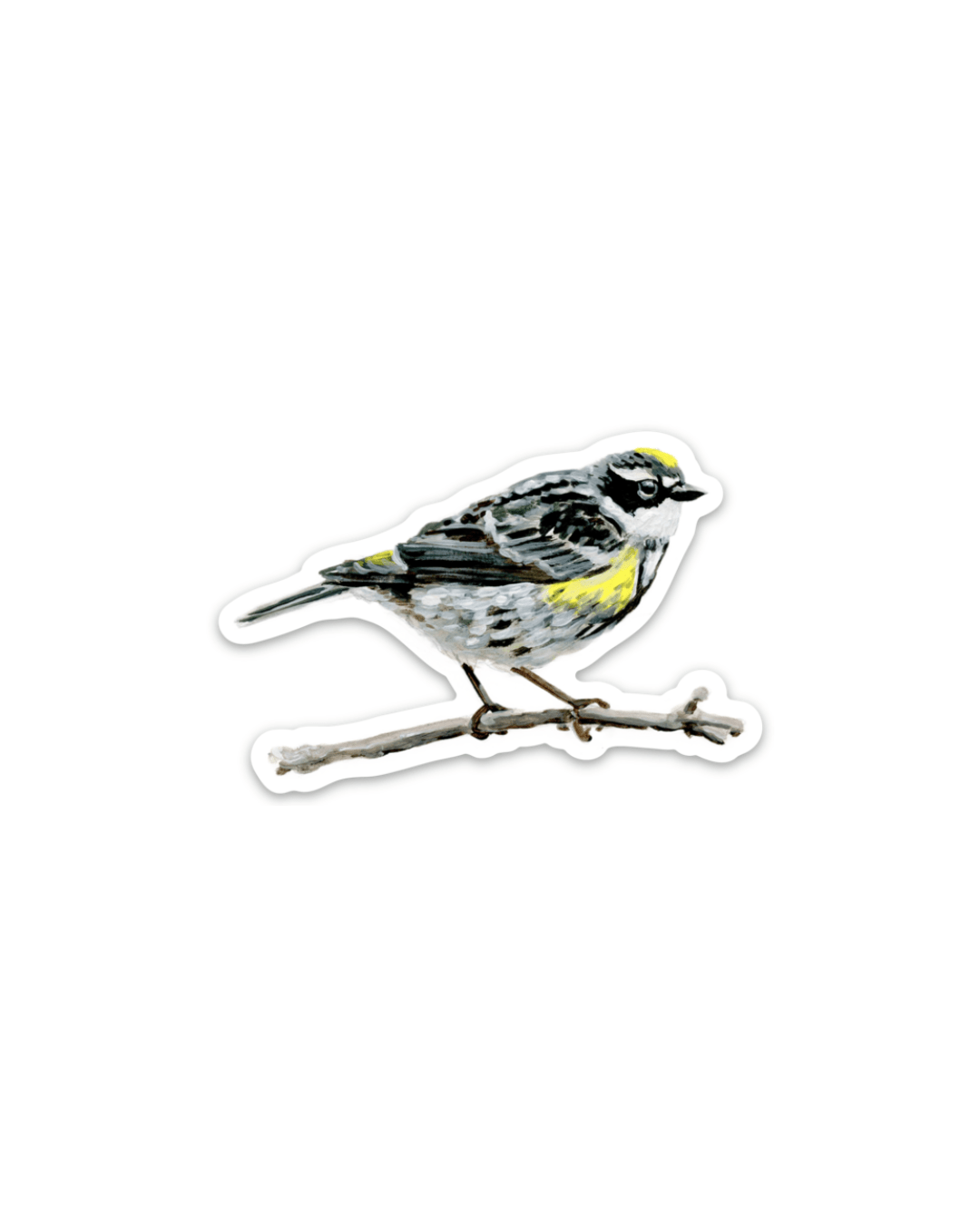 Yellow-rumped warbler 3” Sticker