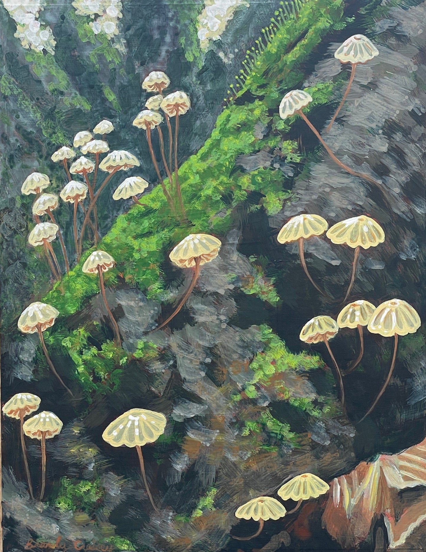 Pinwheel mushroom acrylic painting by brandy raymond