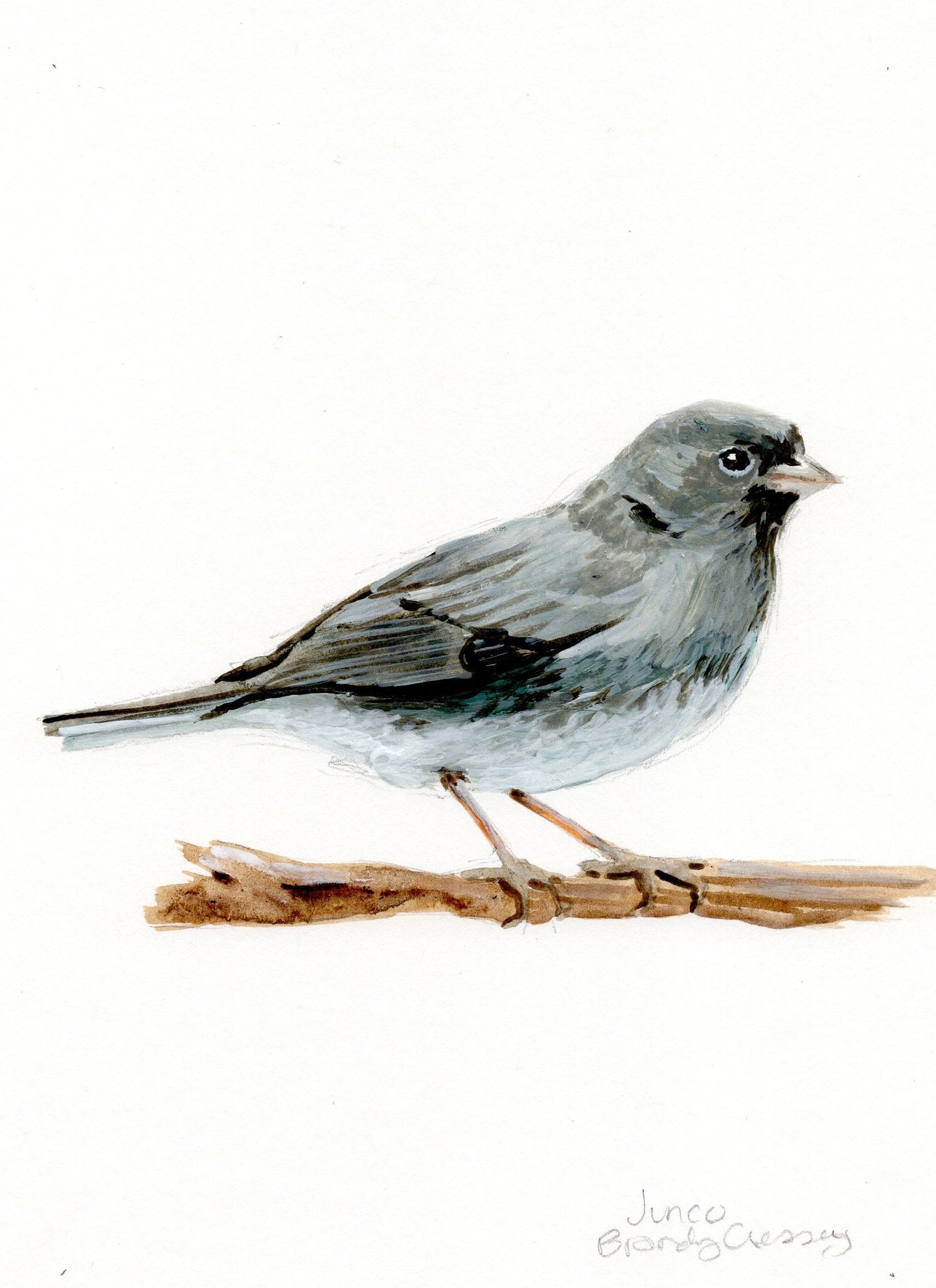 Junco Painting - 5x7 Framed