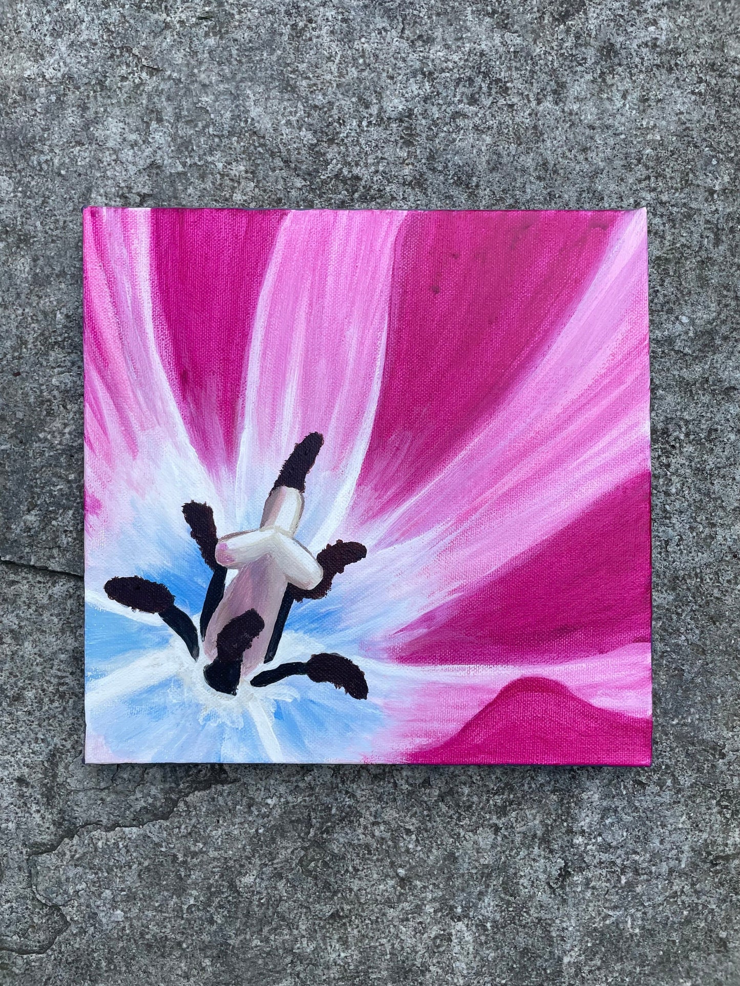 Tulip Paintings - 10x10