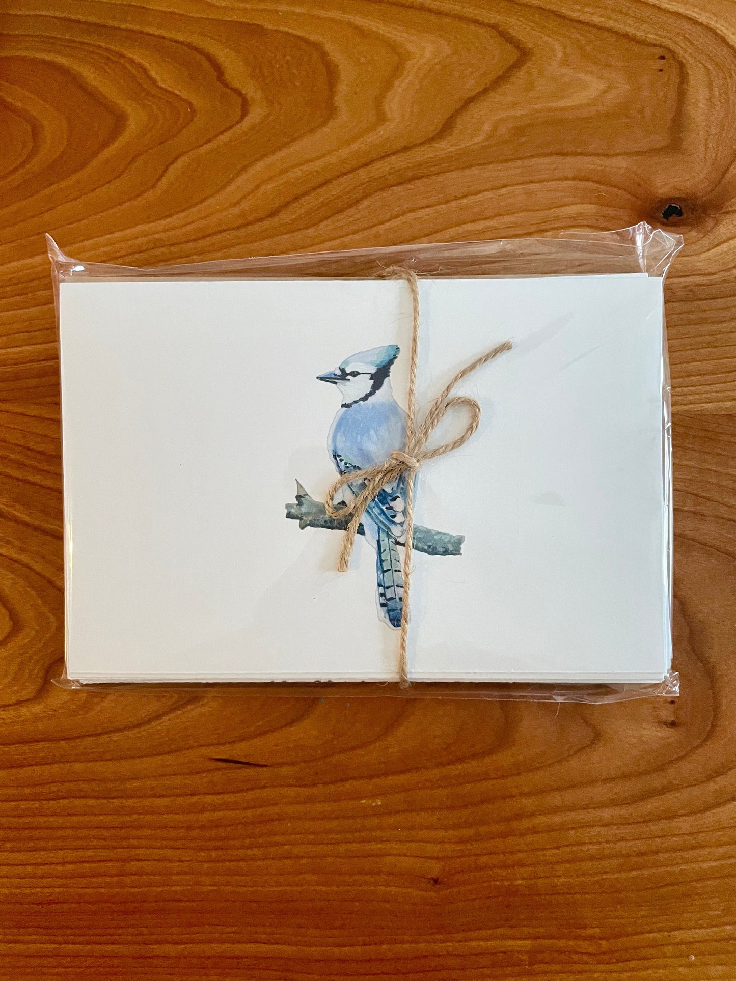 WILD BIRDS CARD - SET OF 8