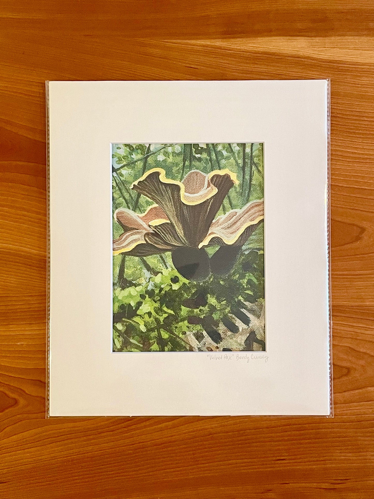 Matted 6x8 Prints