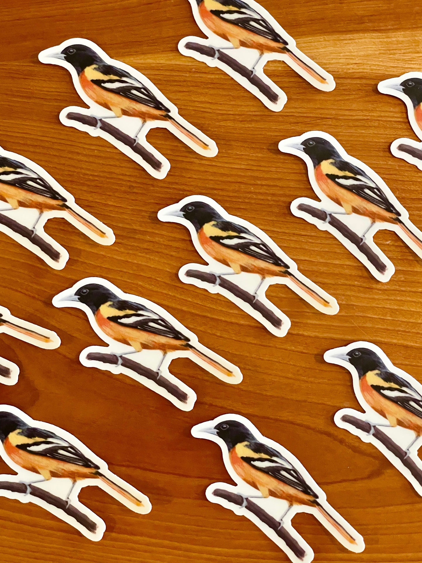 Baltimore Oriole 3” Sticker