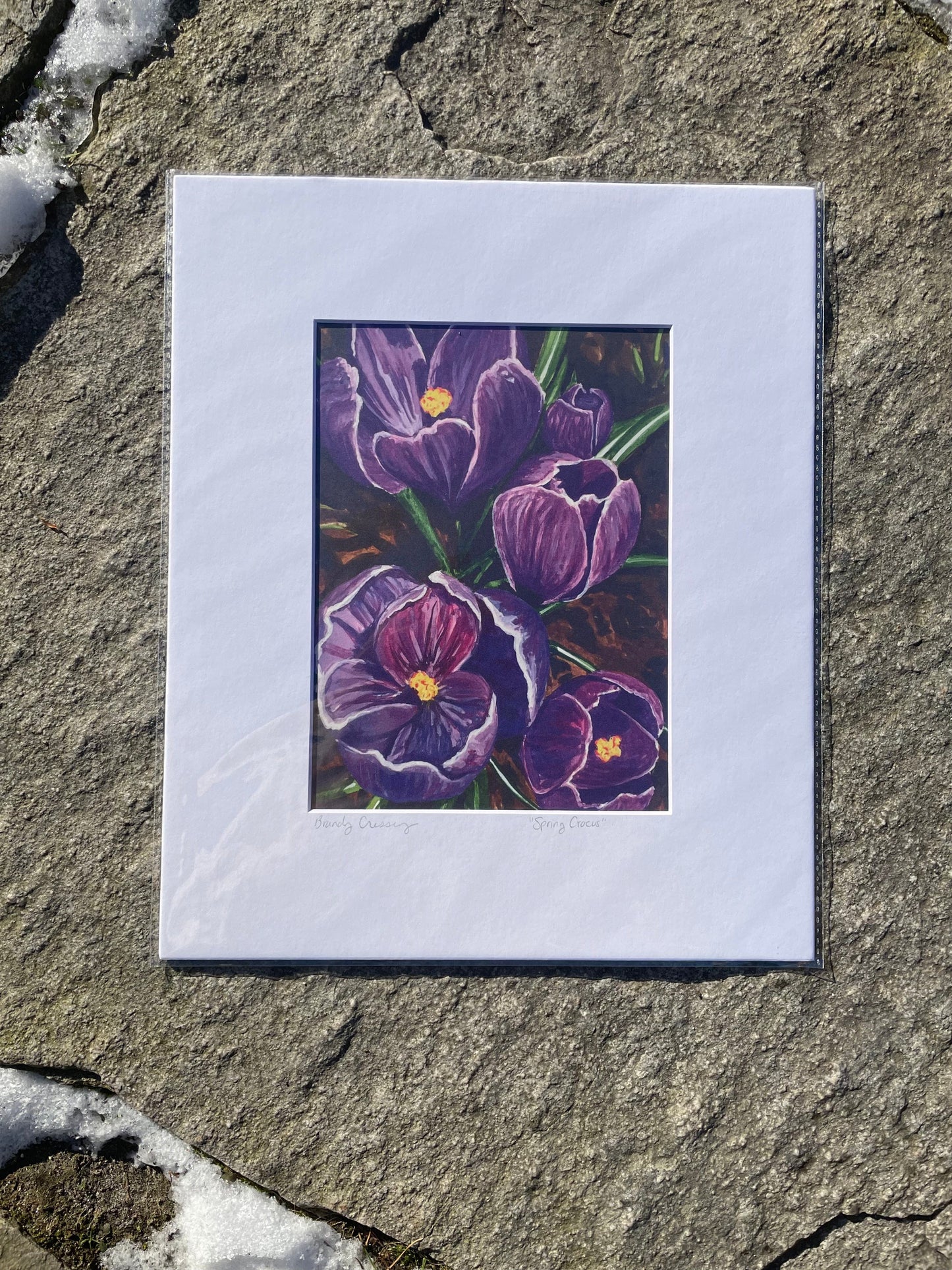 Crocus Print
