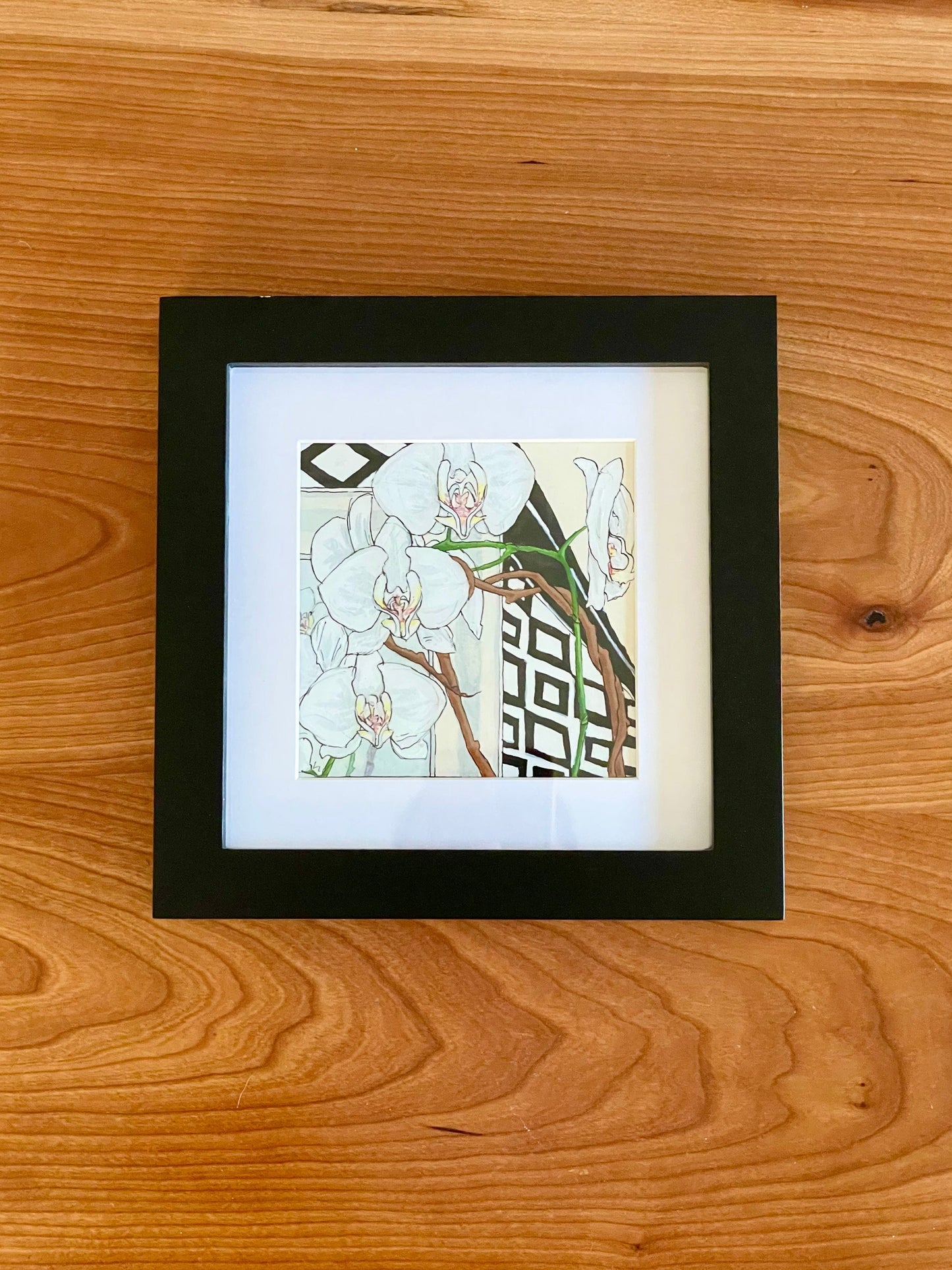 Phalaenopsis Orchid Pen & Ink - 4x4 Framed