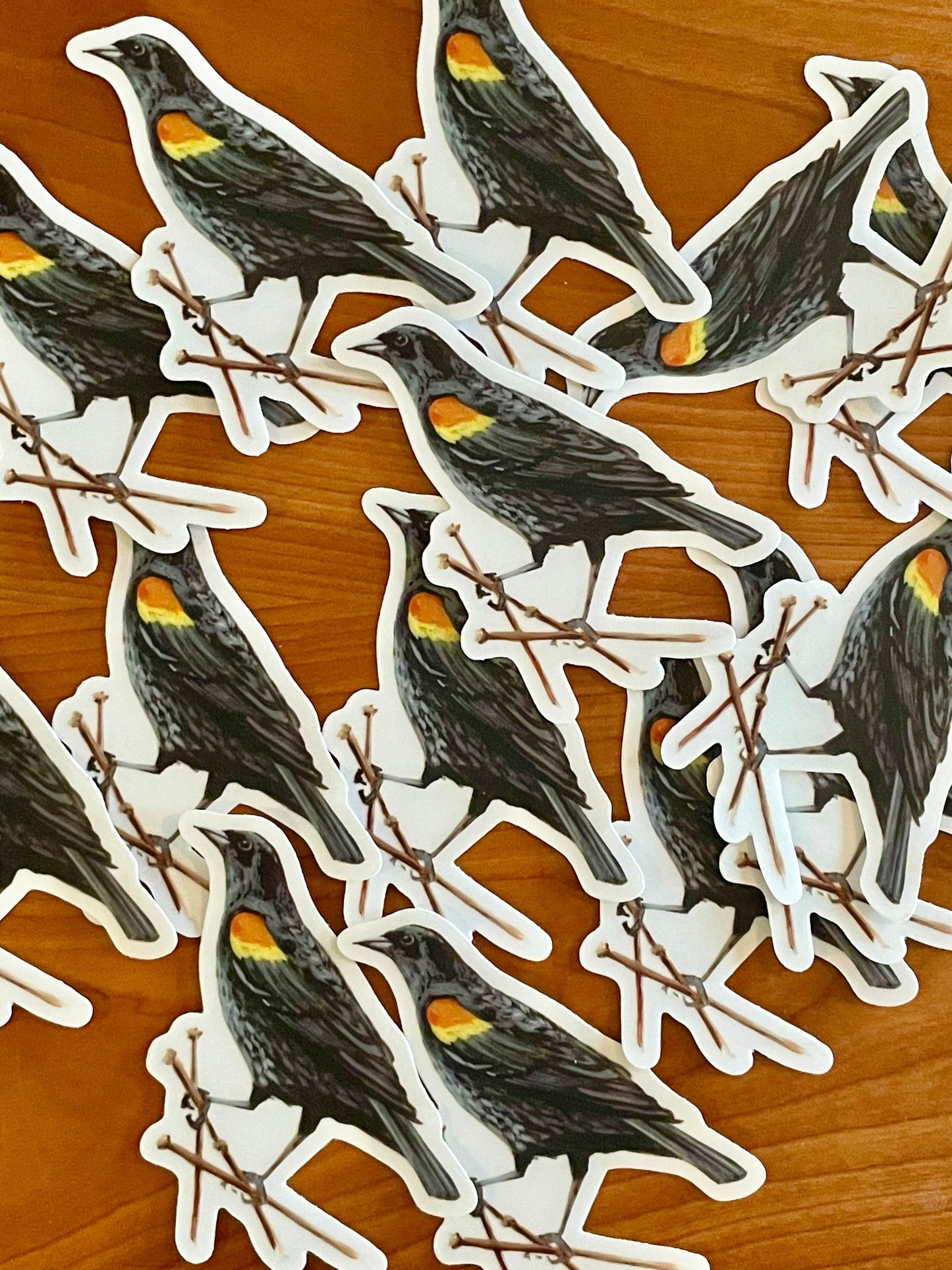 Red-winged Black Bird 3” Sticker