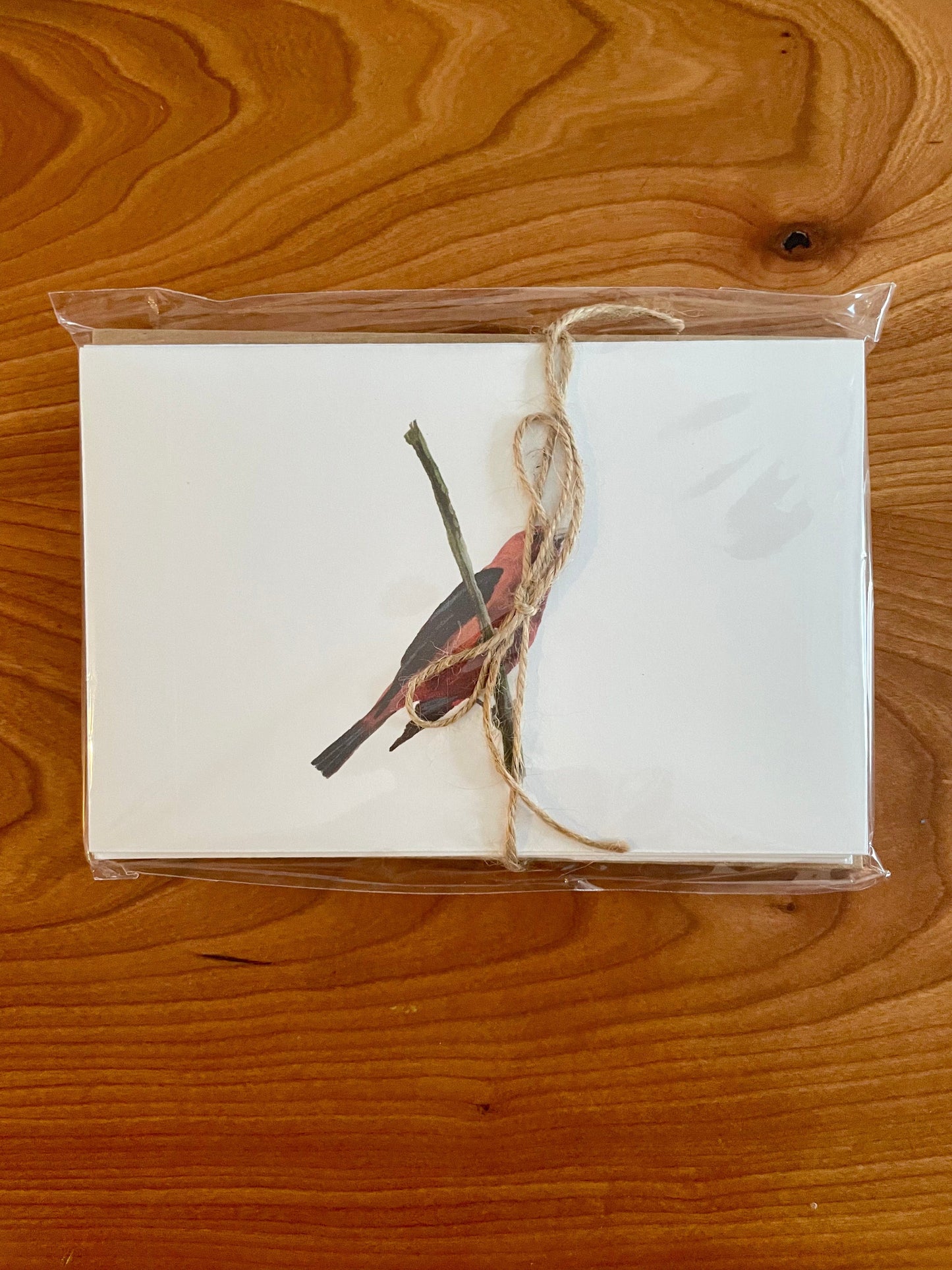 WILD BIRDS CARD - SET OF 8