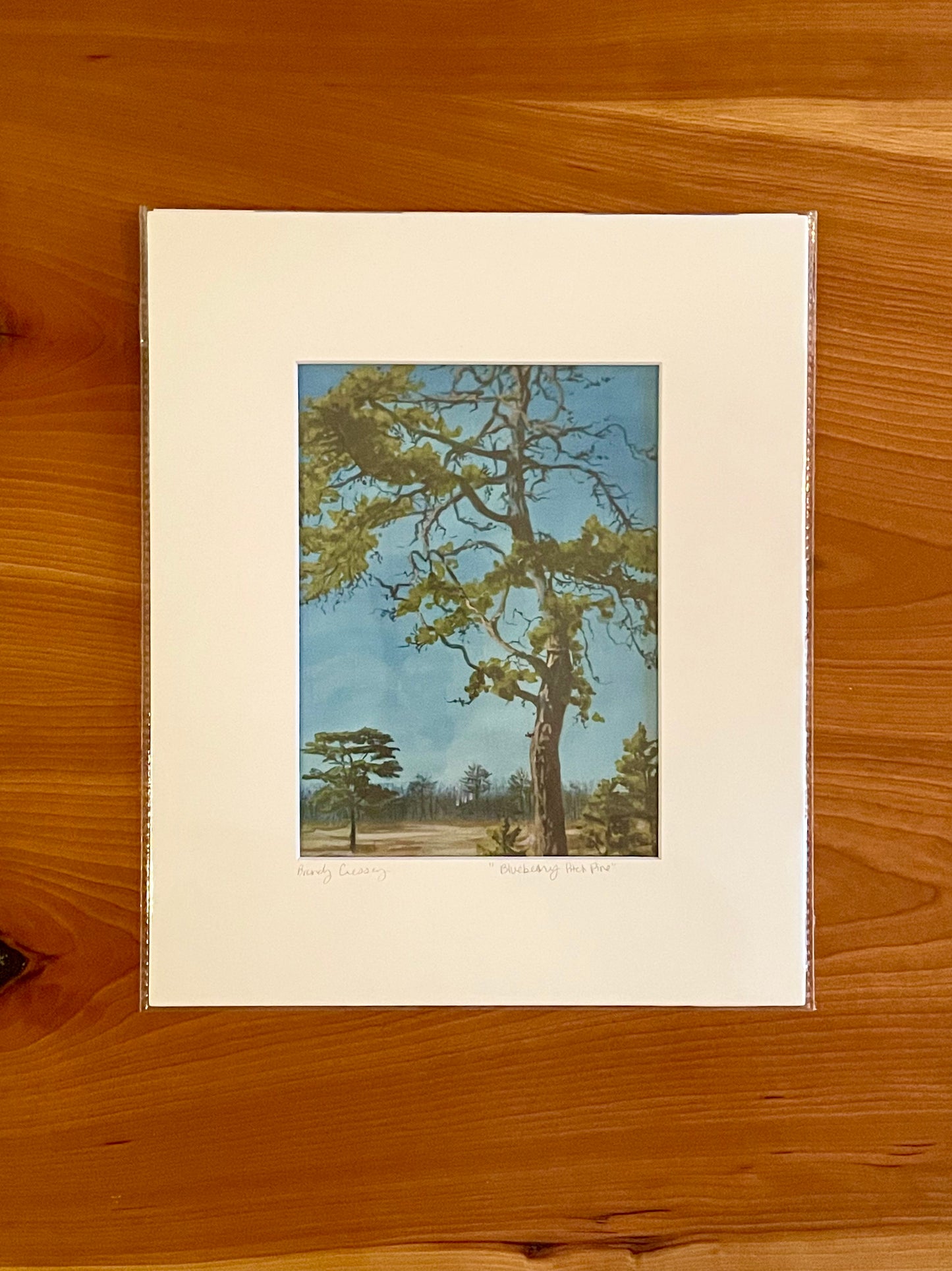 Matted 6x8 Prints