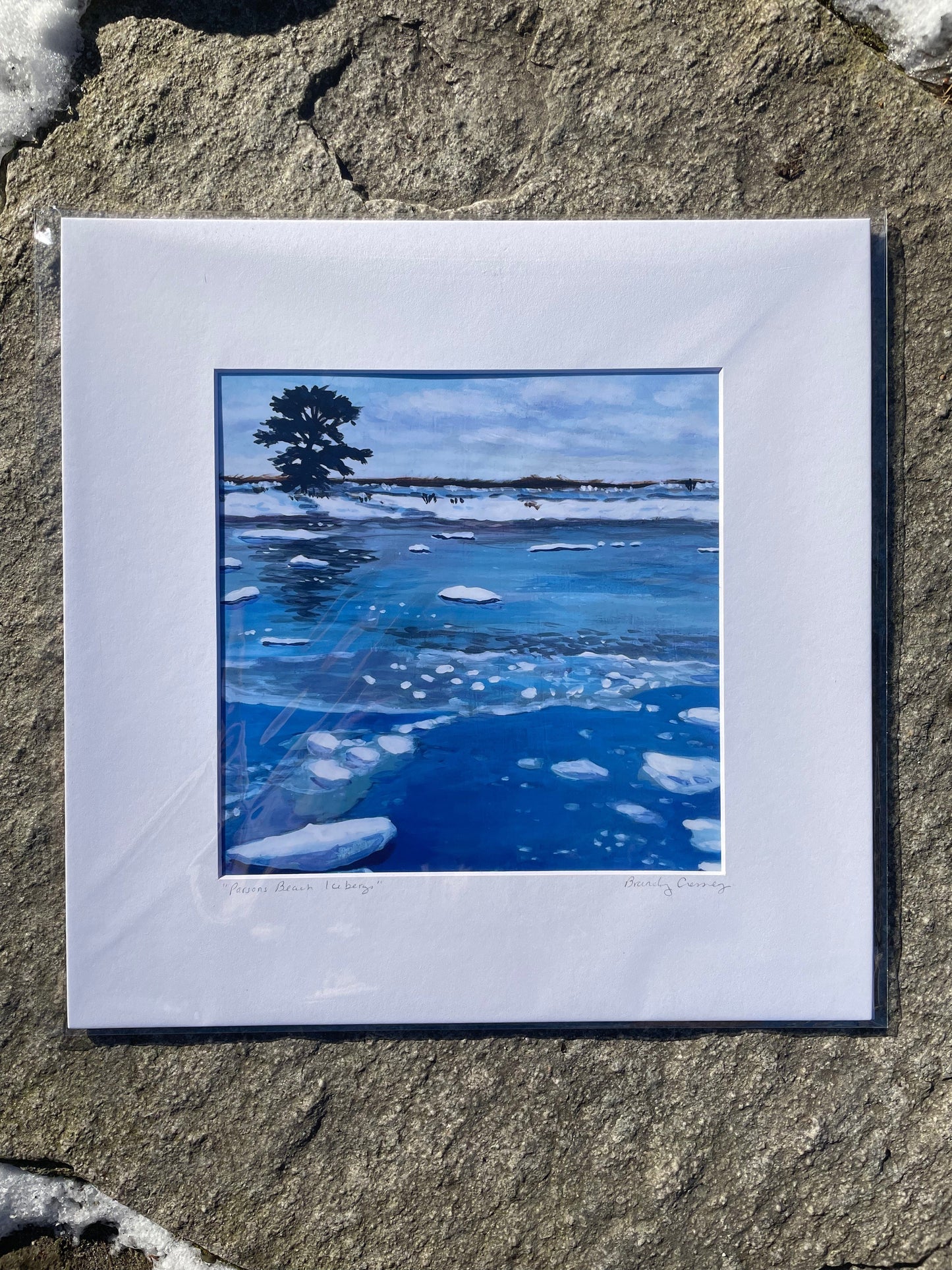 Parsons Beach Iceberg Print