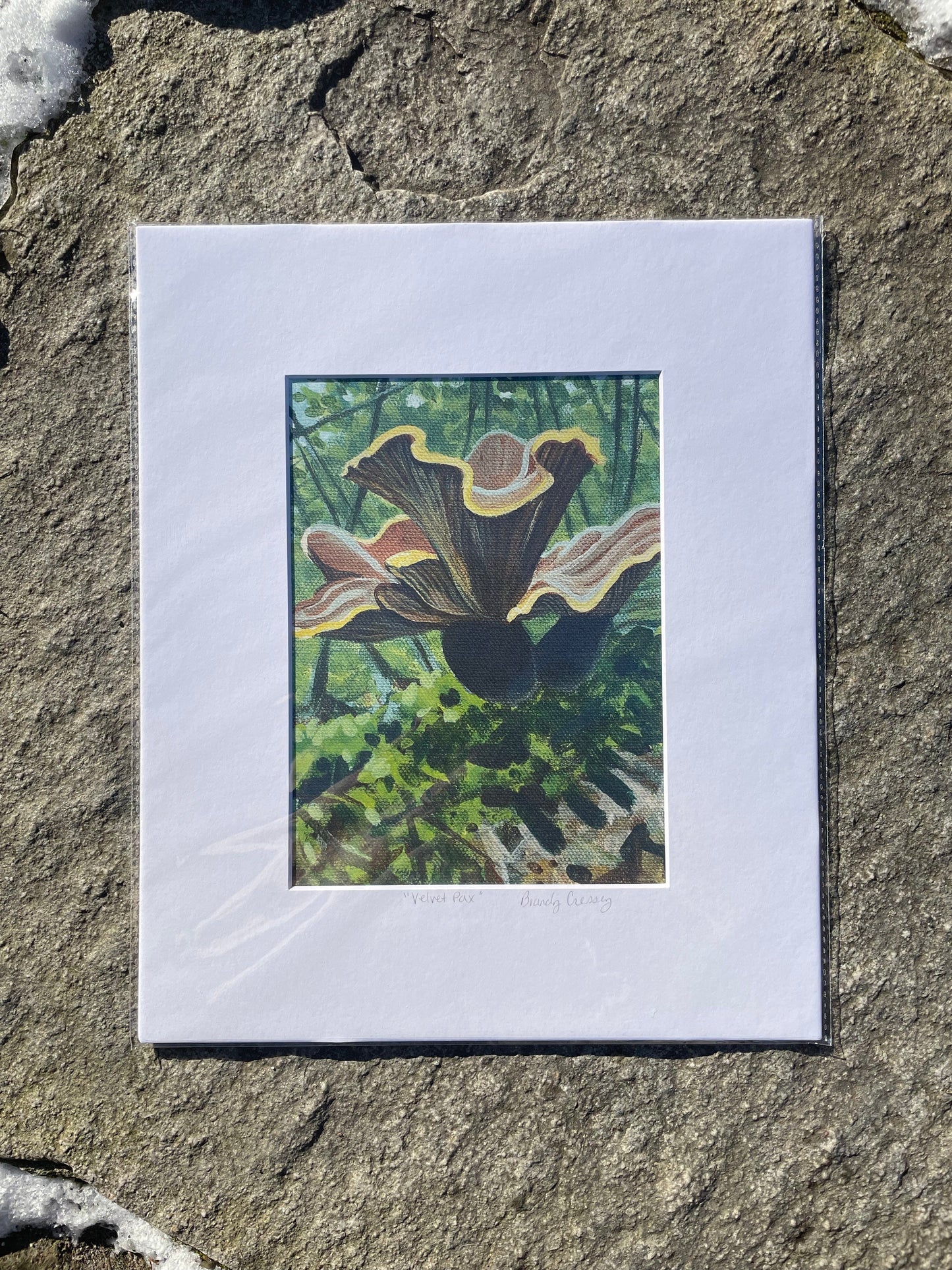 Velvet Pax Print