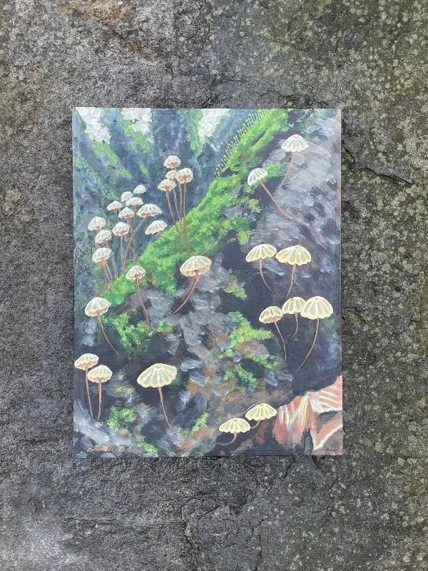 Forest Floor Pinwheels - 10x13