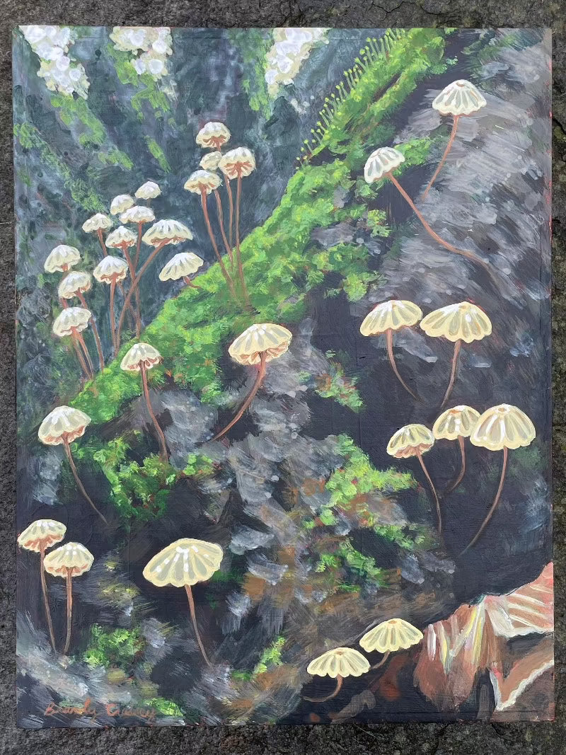 Forest Floor Pinwheels - 10x13