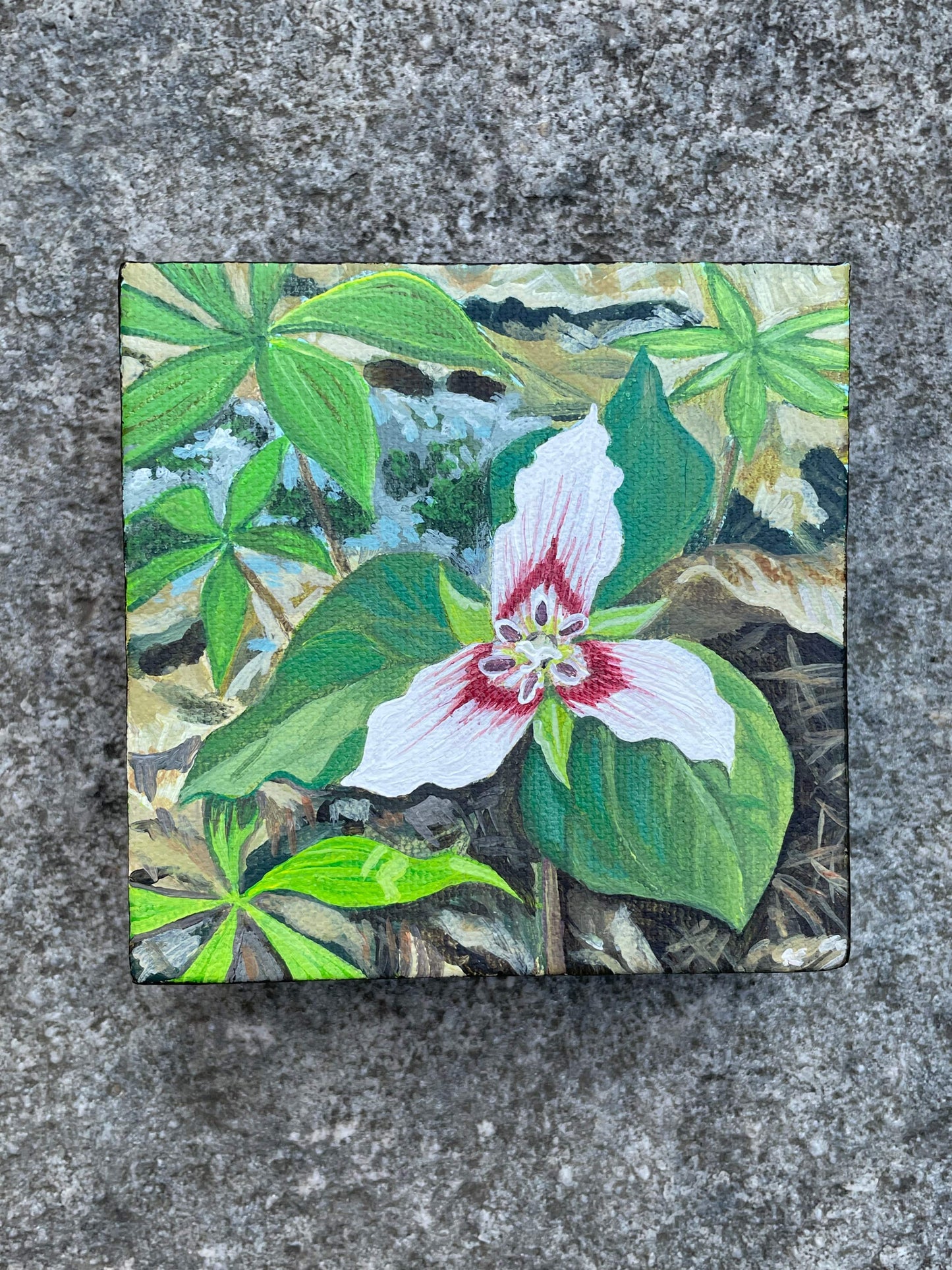 Trillium Painting - 4x4
