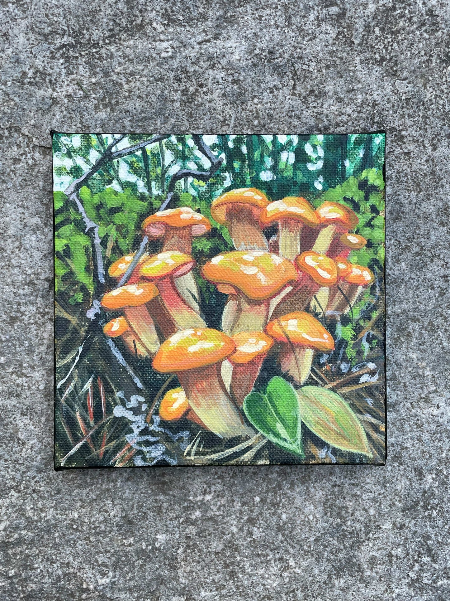 Original Jack-o-lantern Mushroom Painting on 6x6 inch canvas by brandy cressey raymond at Florence Farmstead Maine
