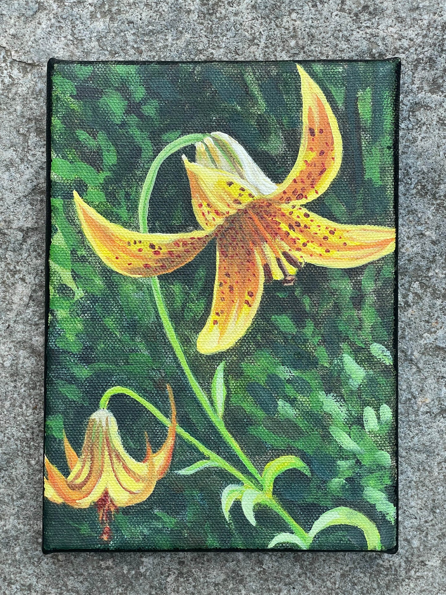 Canada Lily Painting - 5x7