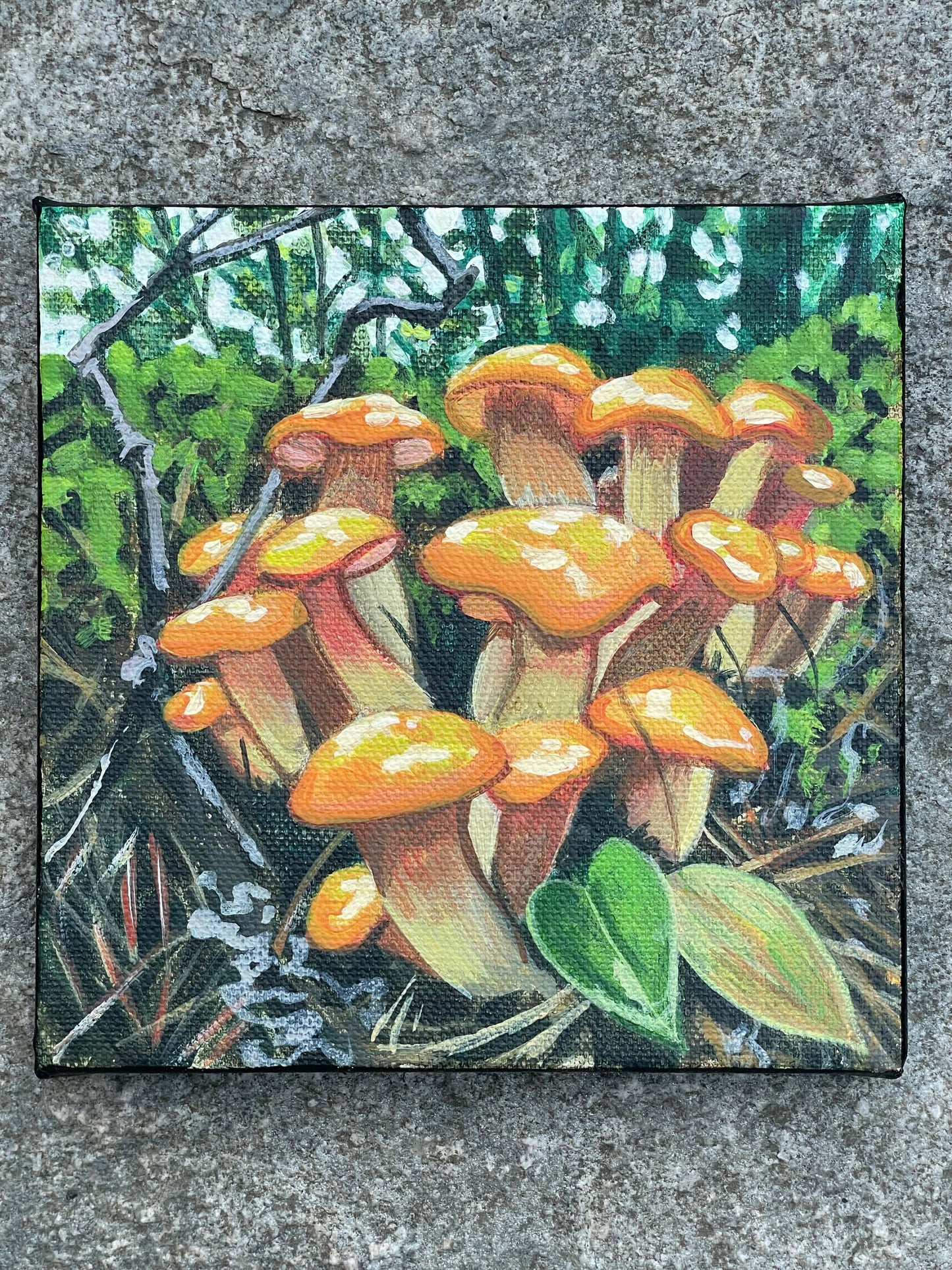 Original Jack-o-lantern Mushroom Painting on 6x6 inch canvas by brandy cressey raymond at Florence Farmstead Maine