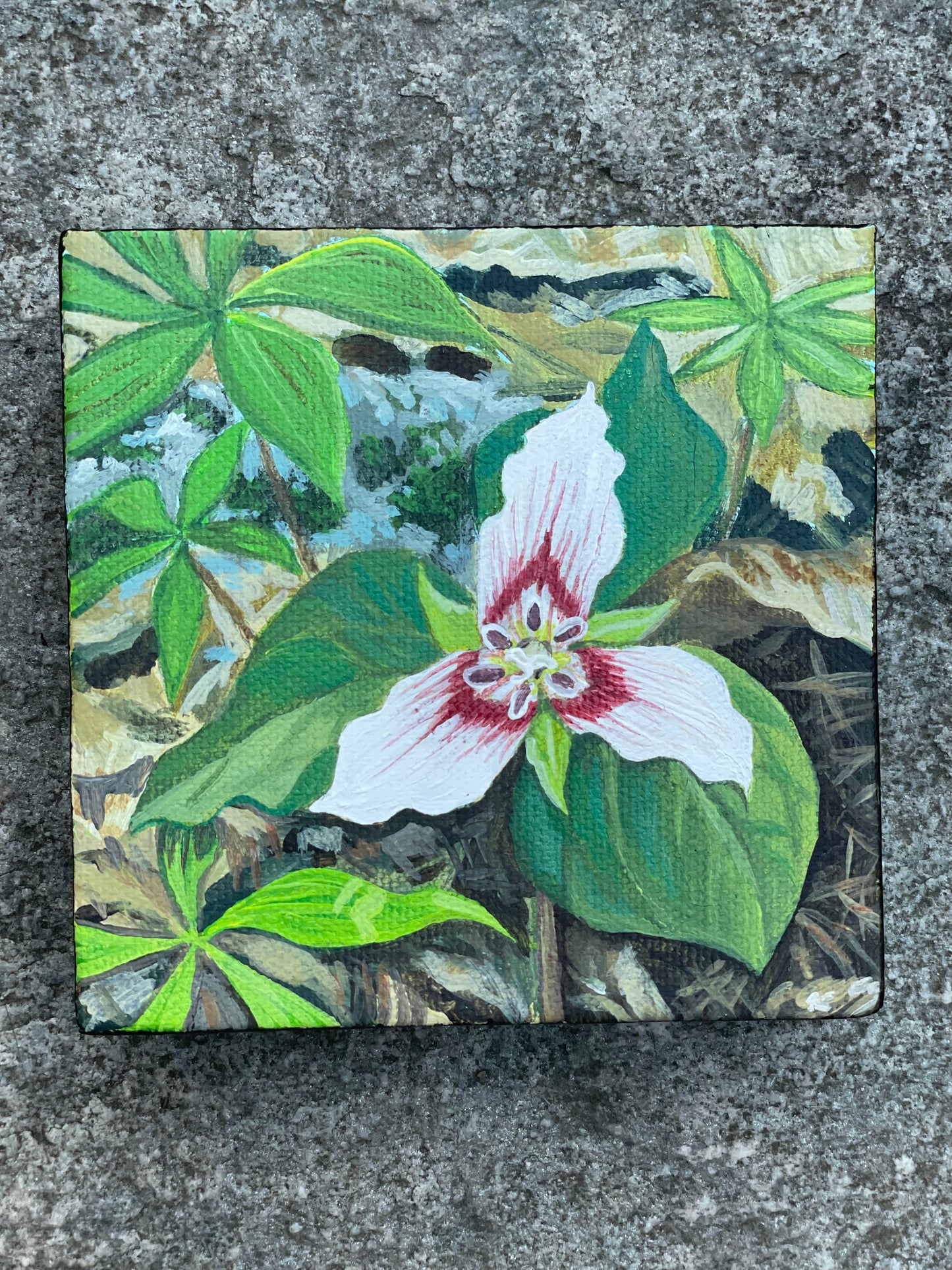 Trillium Painting - 4x4