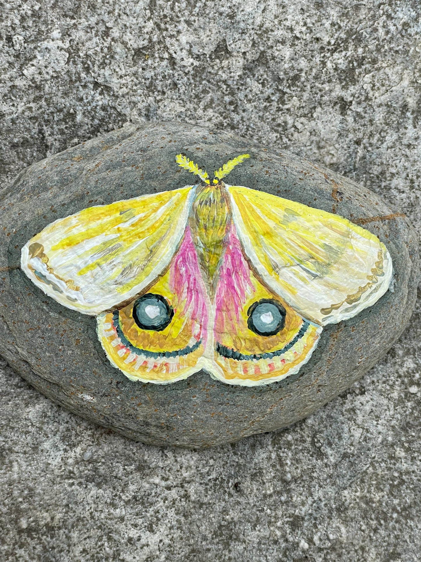 Io Moth Painted Rock