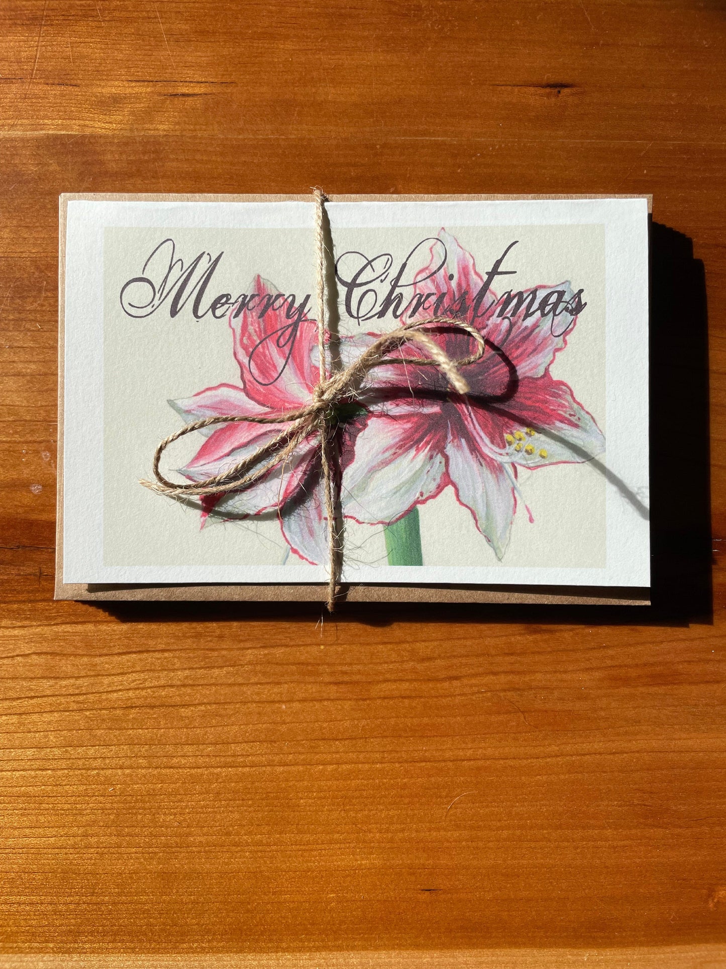 Amaryllis CARD - SET OF 8