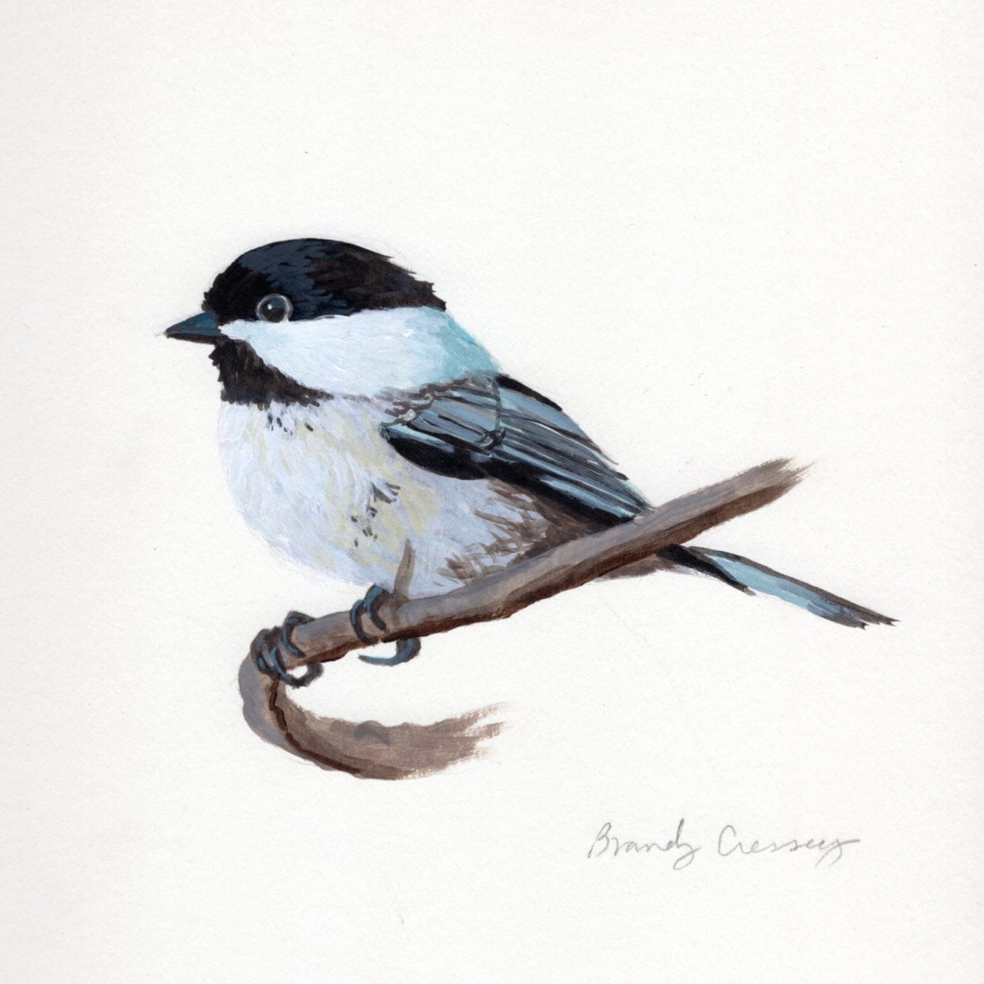 WILD BIRDS CARD - SET OF 8