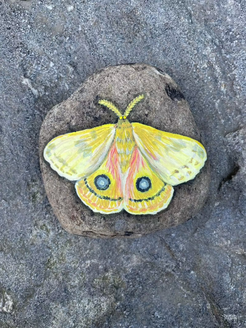 Io Moth Painted Rock
