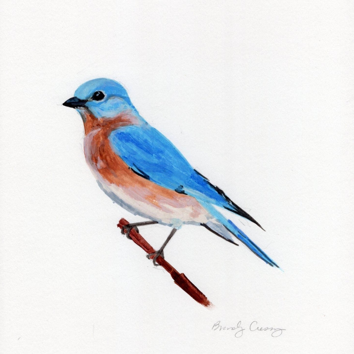 WILD BIRDS CARD - SET OF 8