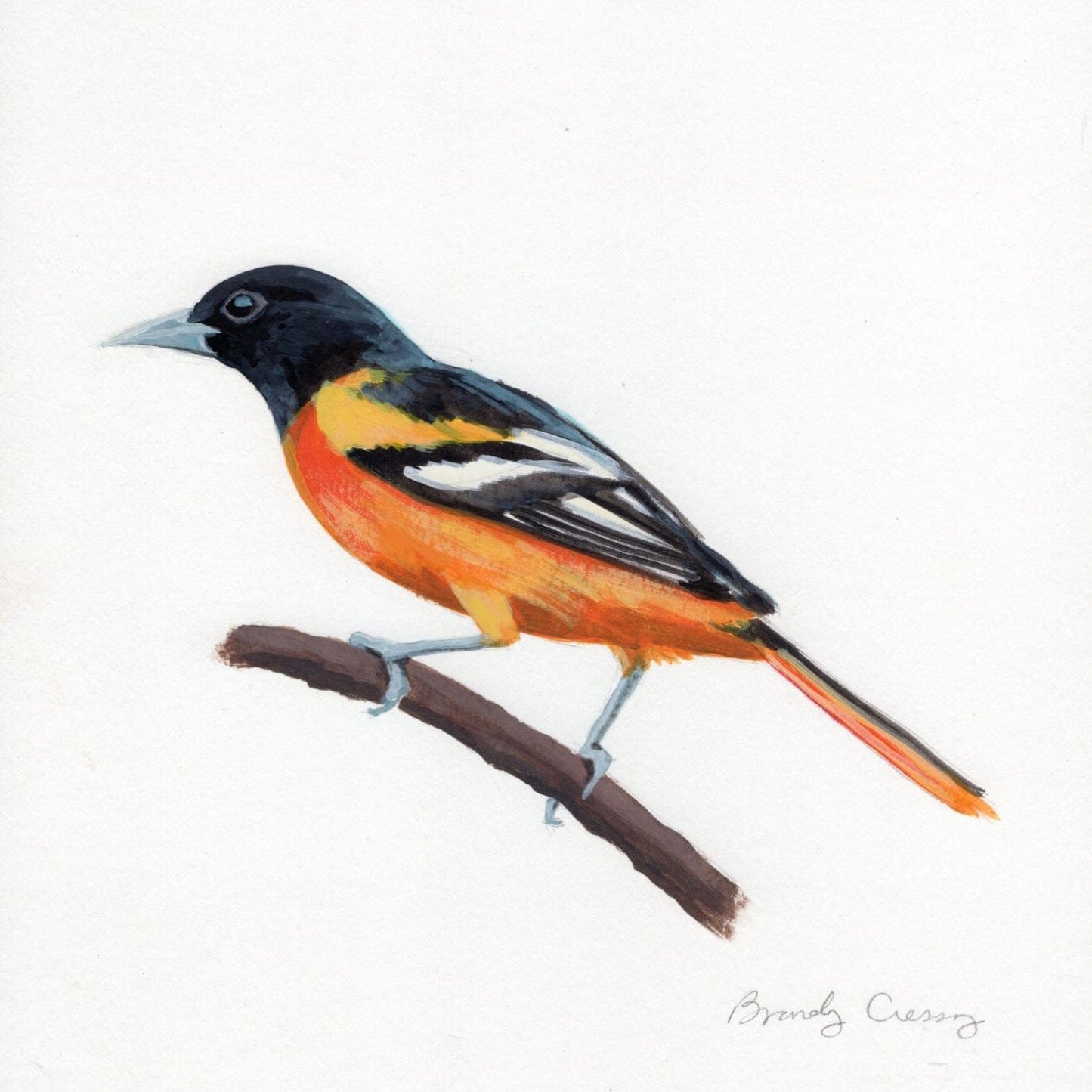 WILD BIRDS CARD - SET OF 8