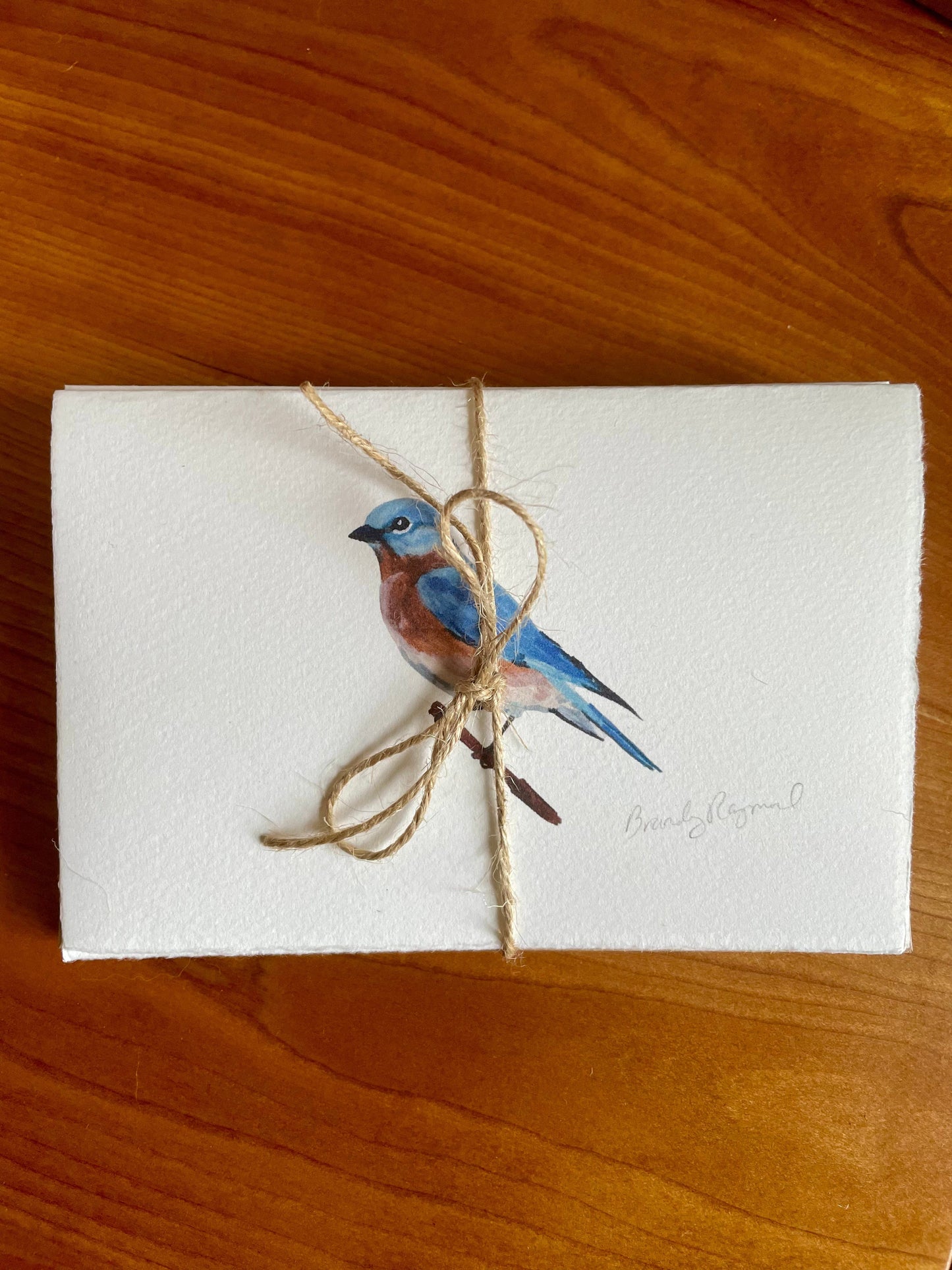 WILD BIRDS CARD - SET OF 8