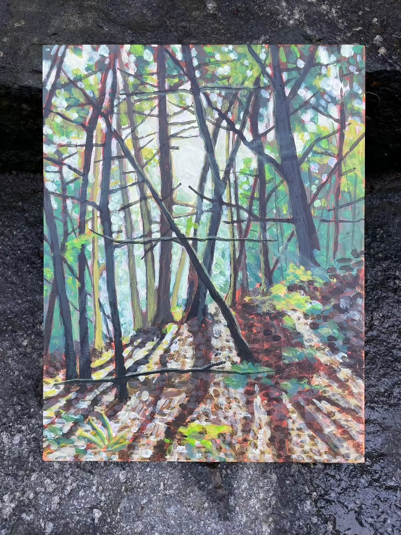 Morning Light in the Forest - 10x13