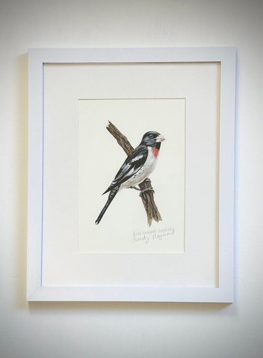 Rose Breasted Grosbeak Acrylic Painting - 5x7 Framed