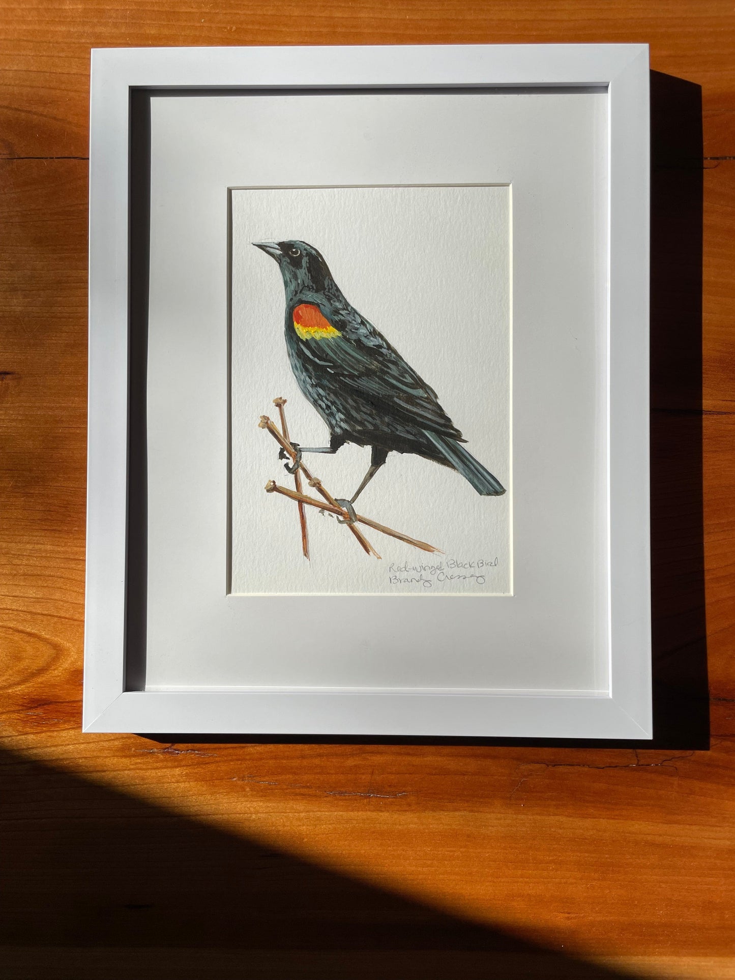 Red-winged Blackbird acrylic painting by Brandy Cressey at Florence Farmstead Art Studio