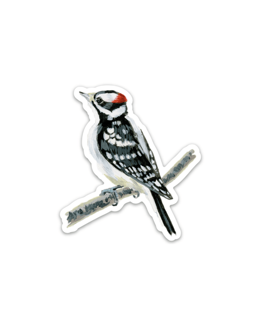Downy Woodpecker 3” Sticker