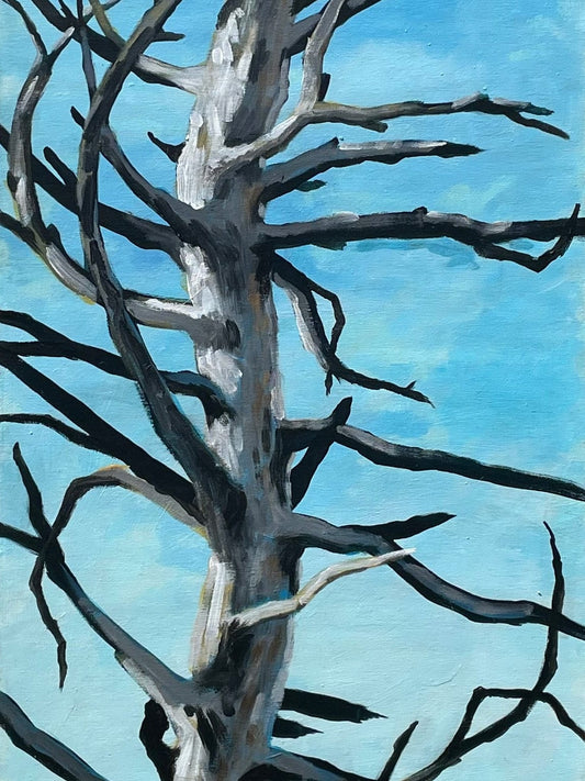 Silent Sentinel - 20x60