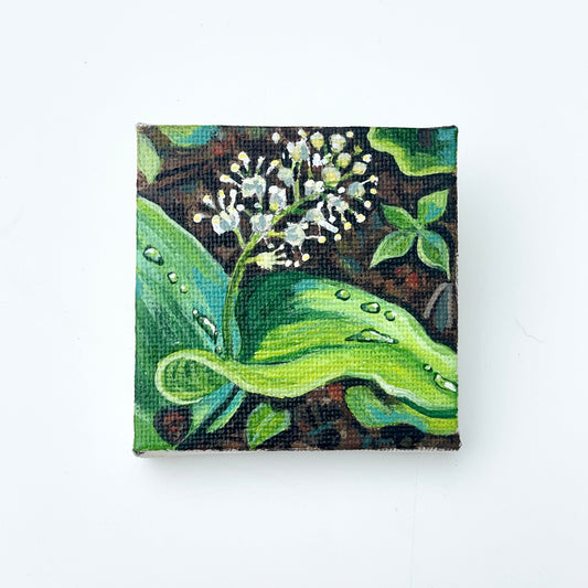 Canada May Flower - 2x2 inches