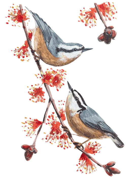 Love Bird Series - Breeding Pairs Acrylic Painting - 5x7 Framed