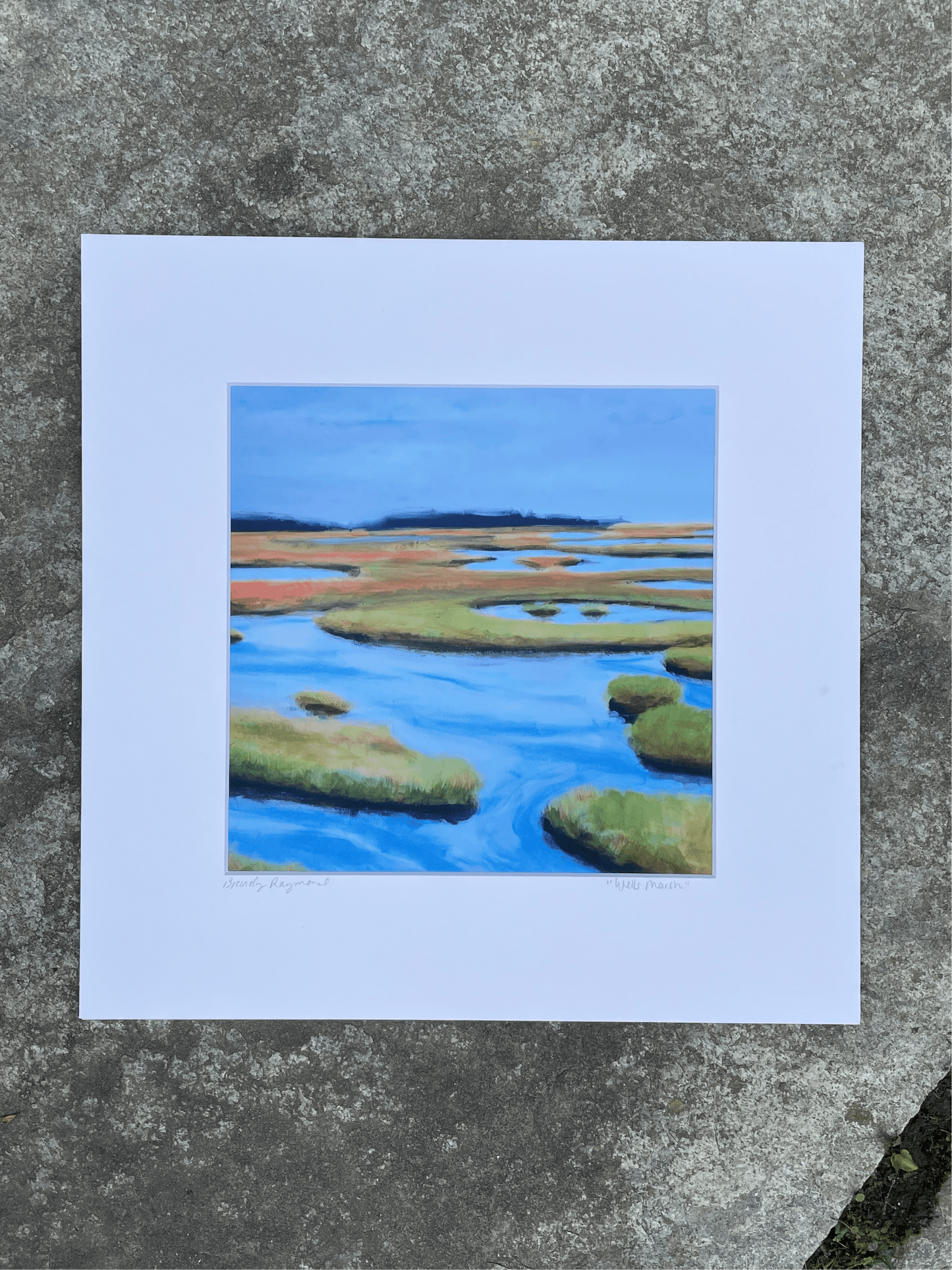 Wells Marsh Print