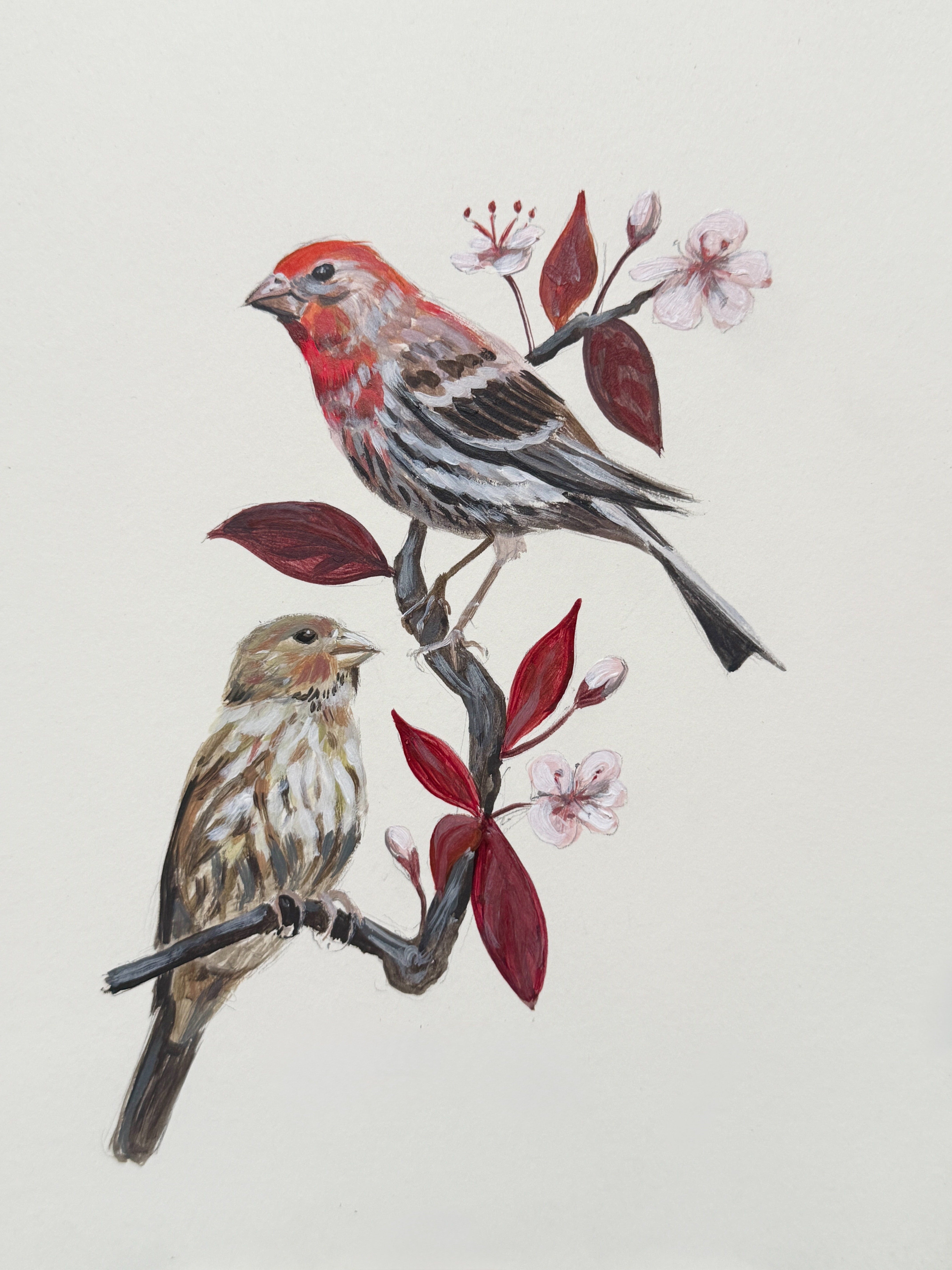 Love Bird Series - Breeding Pairs Acrylic Painting - 5x7 Framed