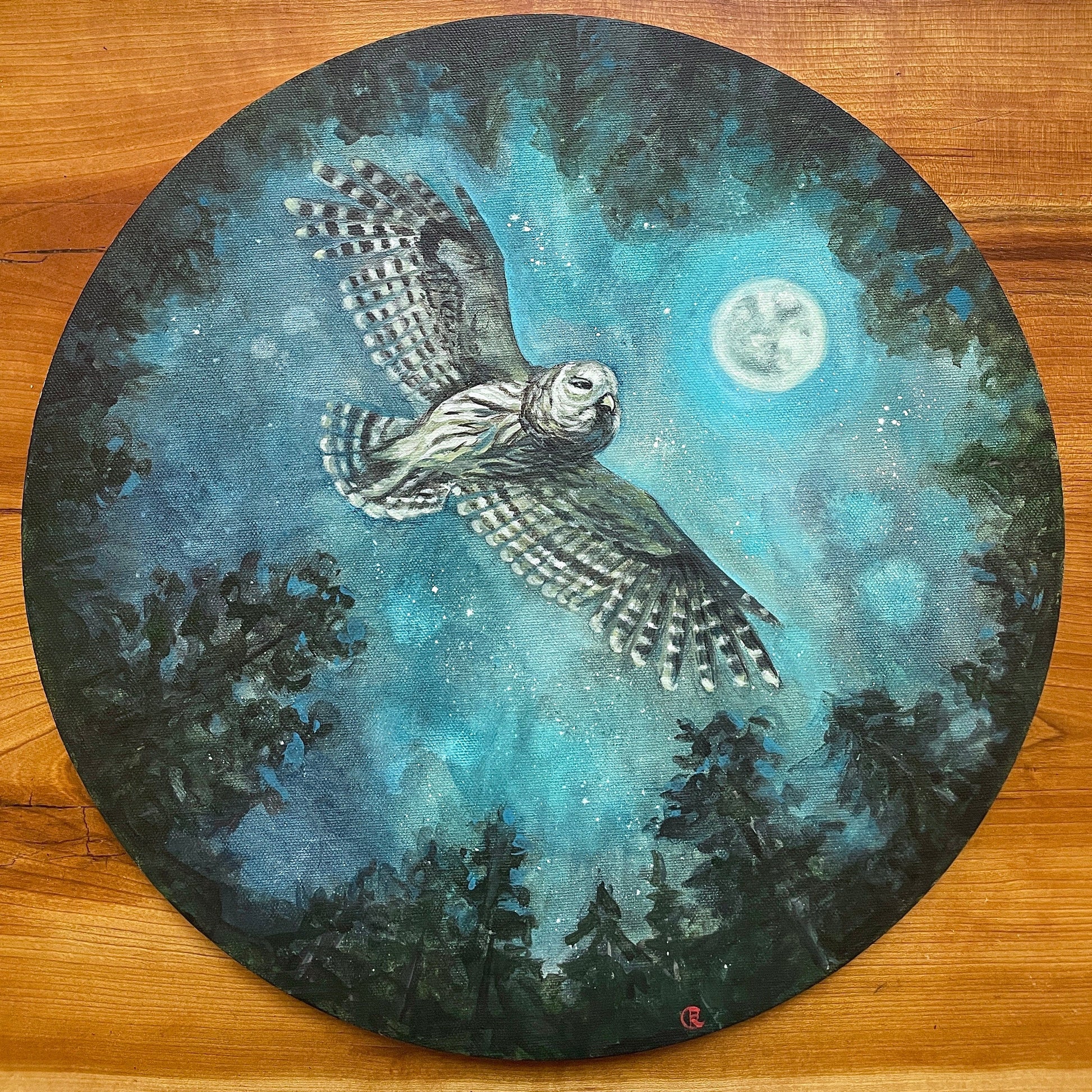 Barred Owl acrylic painting by brandy raymond in Maine