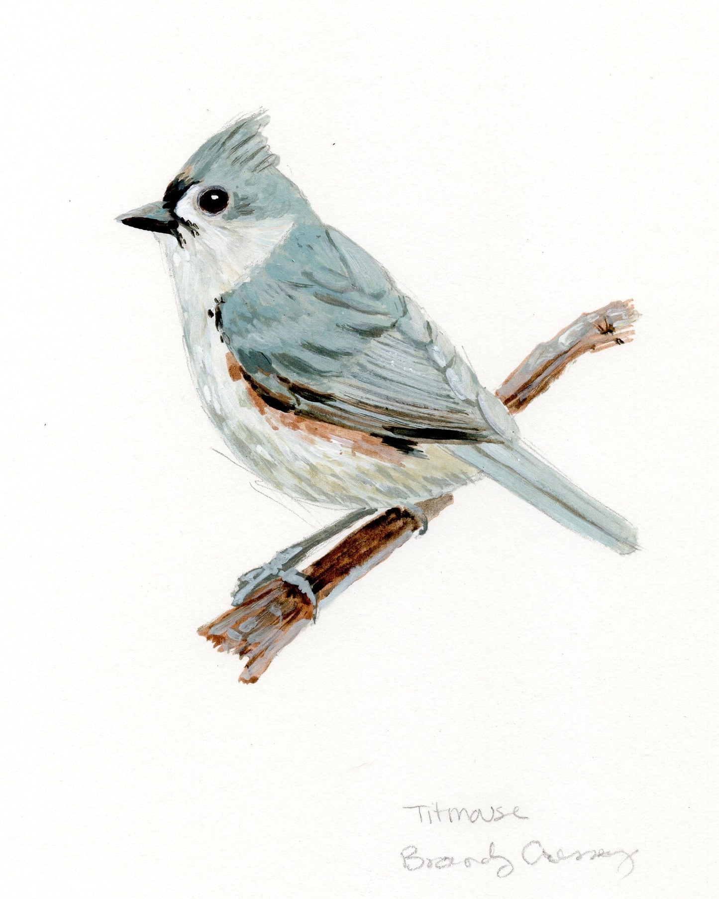 Titmouse Painting - 5x7 Framed