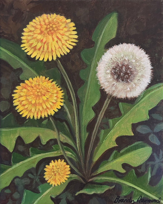 Dandelion - 8x10 original acrylic painting
